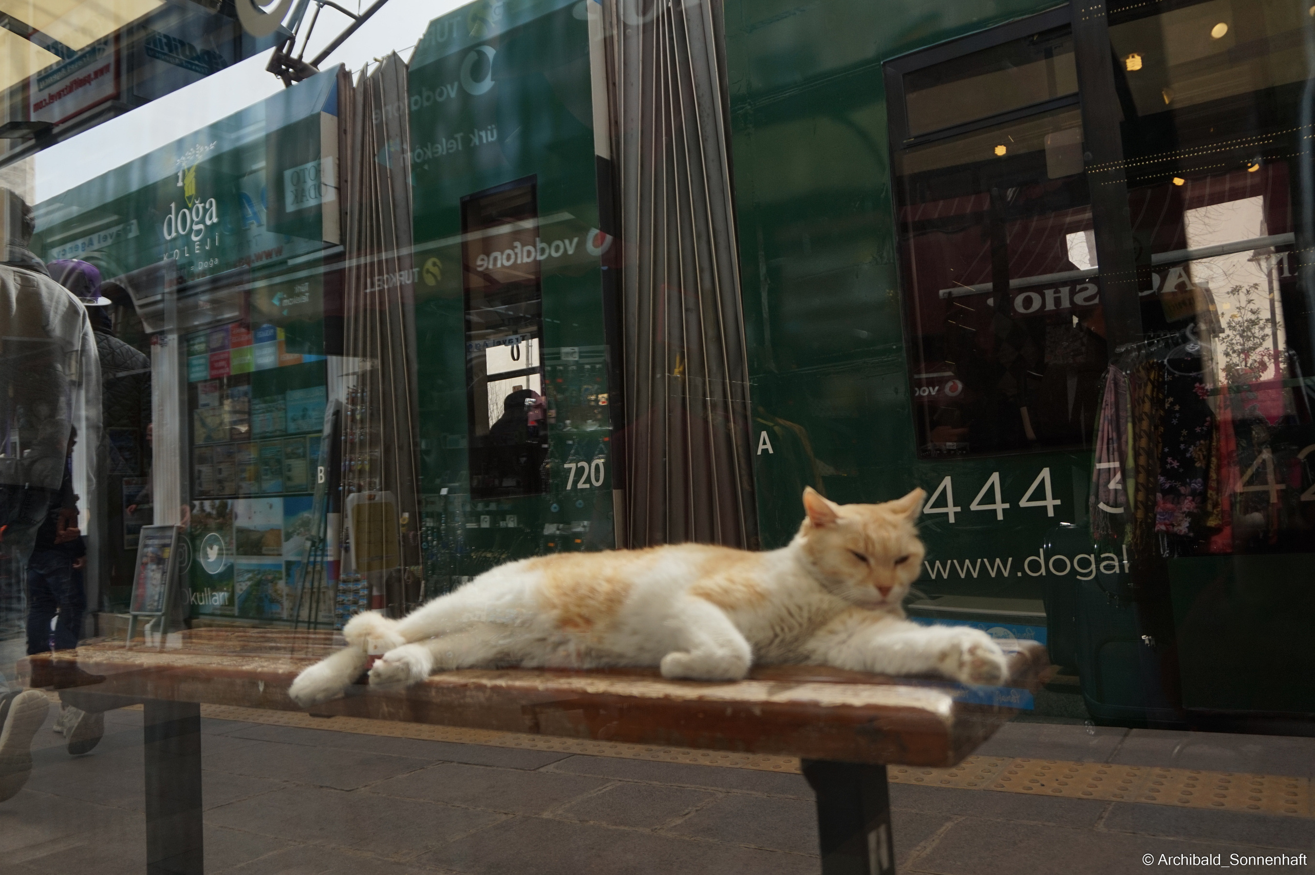 🇹🇷 Istambul, 2018-03. Photographer in Guangzhou, China. Archibald Sonnenhaft