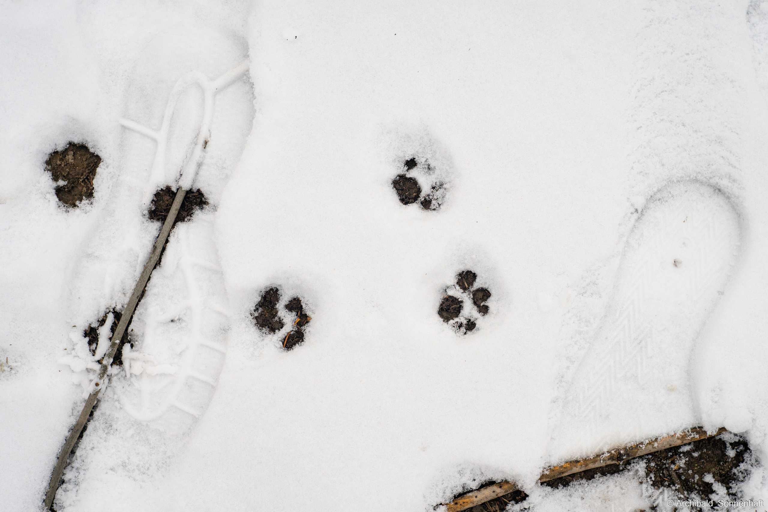 Student of Tianjin University from Kyrgyzstan. Photographer in Guangzhou, China. Archibald Sonnenhaft