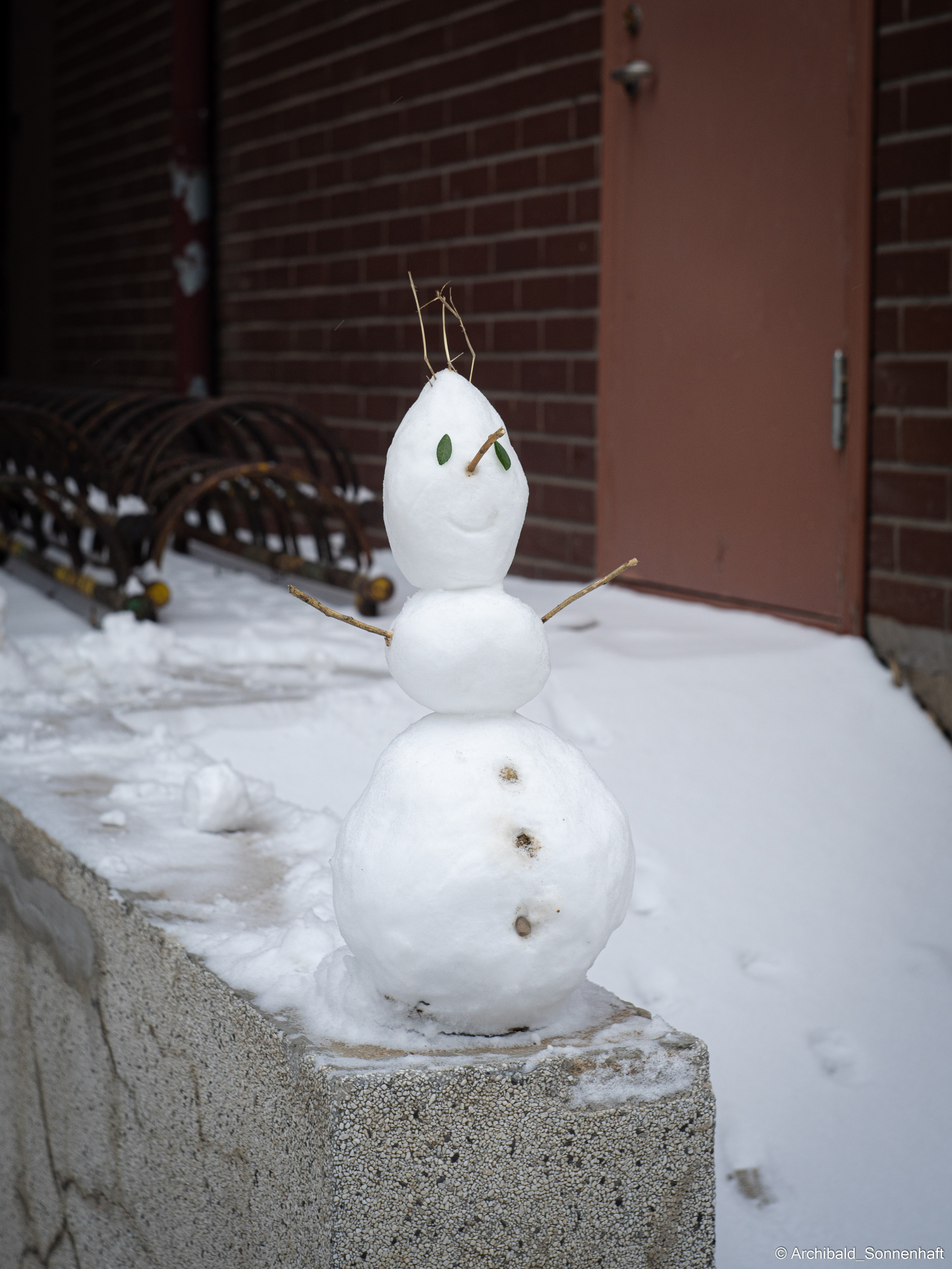 Juan, Student of the SIE, Tianjin University. Photographer in Guangzhou, China. Archibald Sonnenhaft