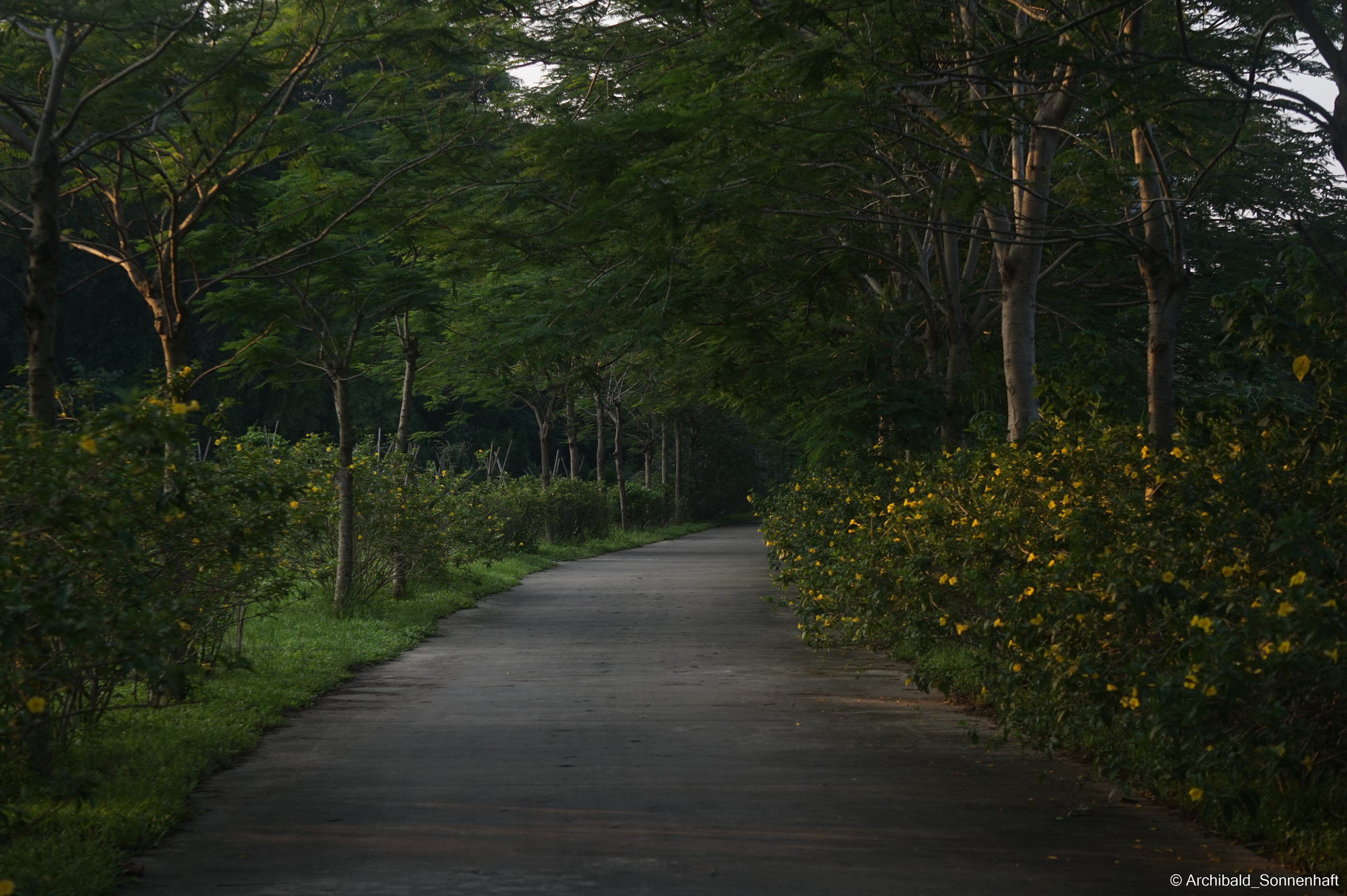 My first year of independent living, my first year in china, Guangzhou. Photographer in Guangzhou, China. Archibald Sonnenhaft