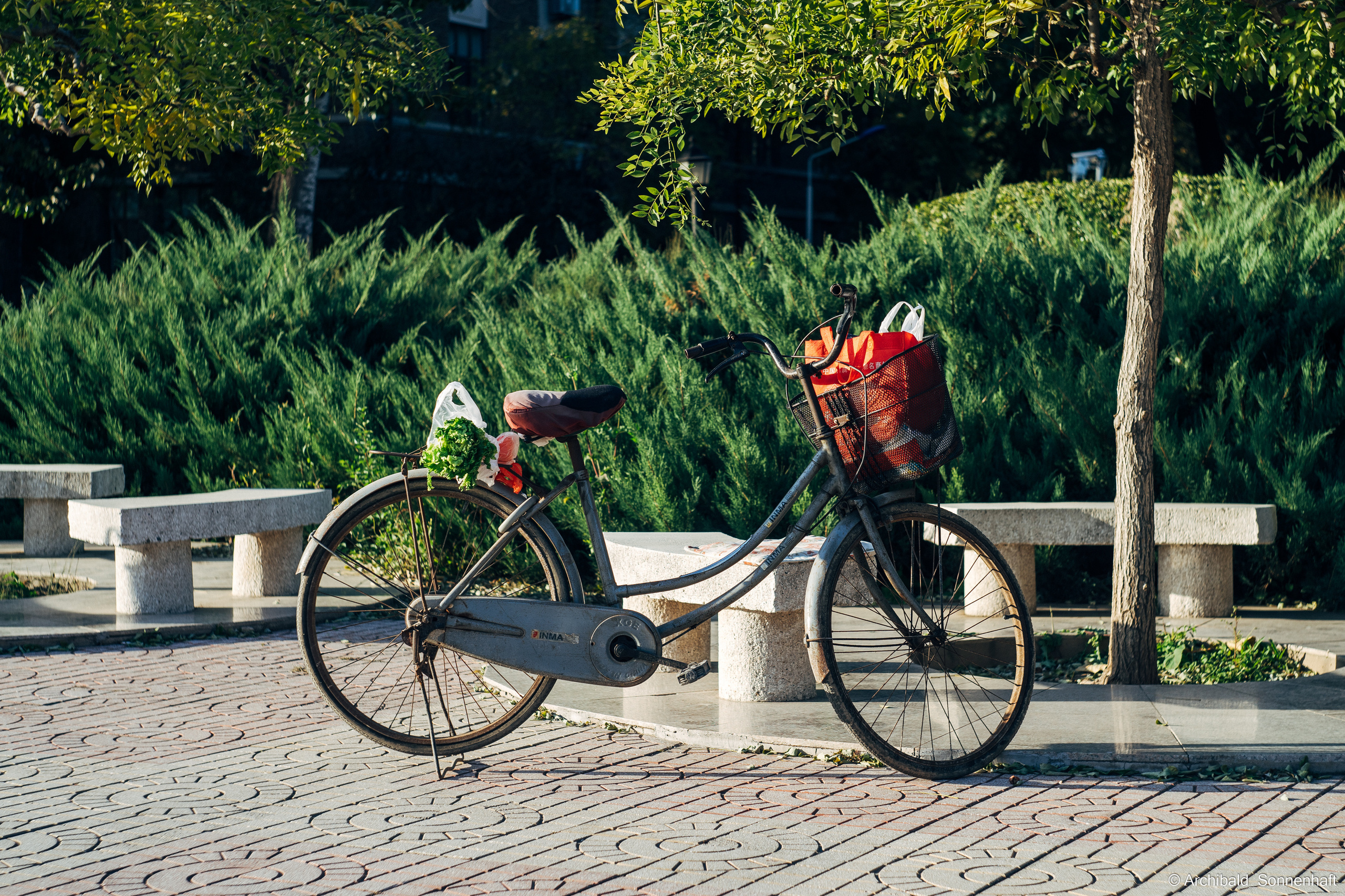 Look what I saw on the walk. Photographer in Guangzhou, China. Archibald Sonnenhaft