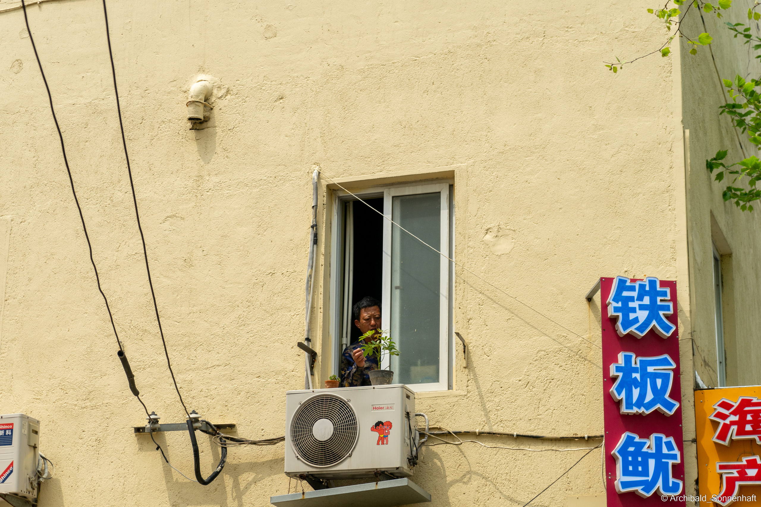 Look what I saw on the walk. Photographer in Guangzhou, China. Archibald Sonnenhaft