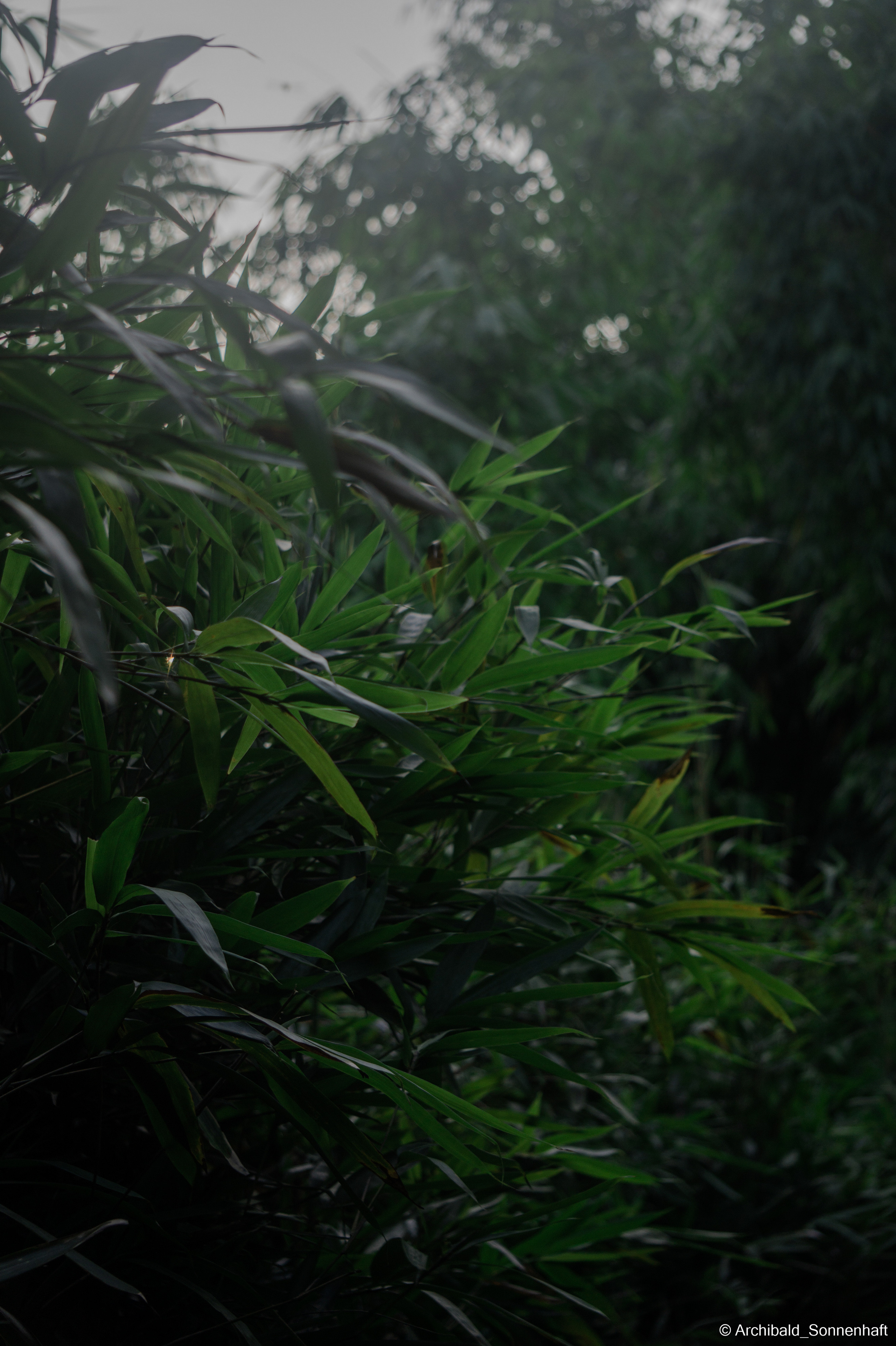 My first year of independent living, my first year in china, Guangzhou. Photographer in Guangzhou, China. Archibald Sonnenhaft