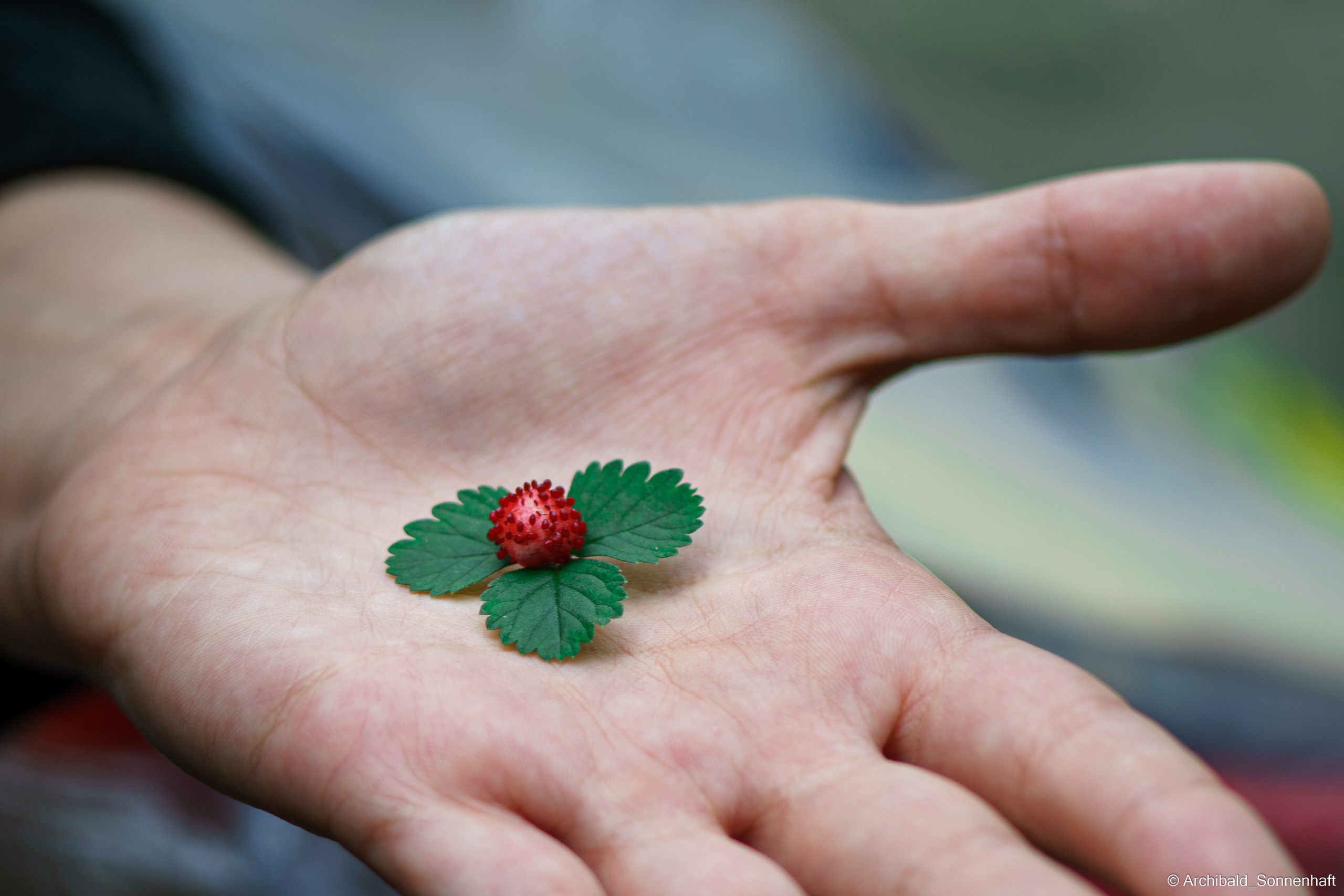 🇨🇳 北京 (Beijing), 2019.10. Photographer in Guangzhou, China. Archibald Sonnenhaft