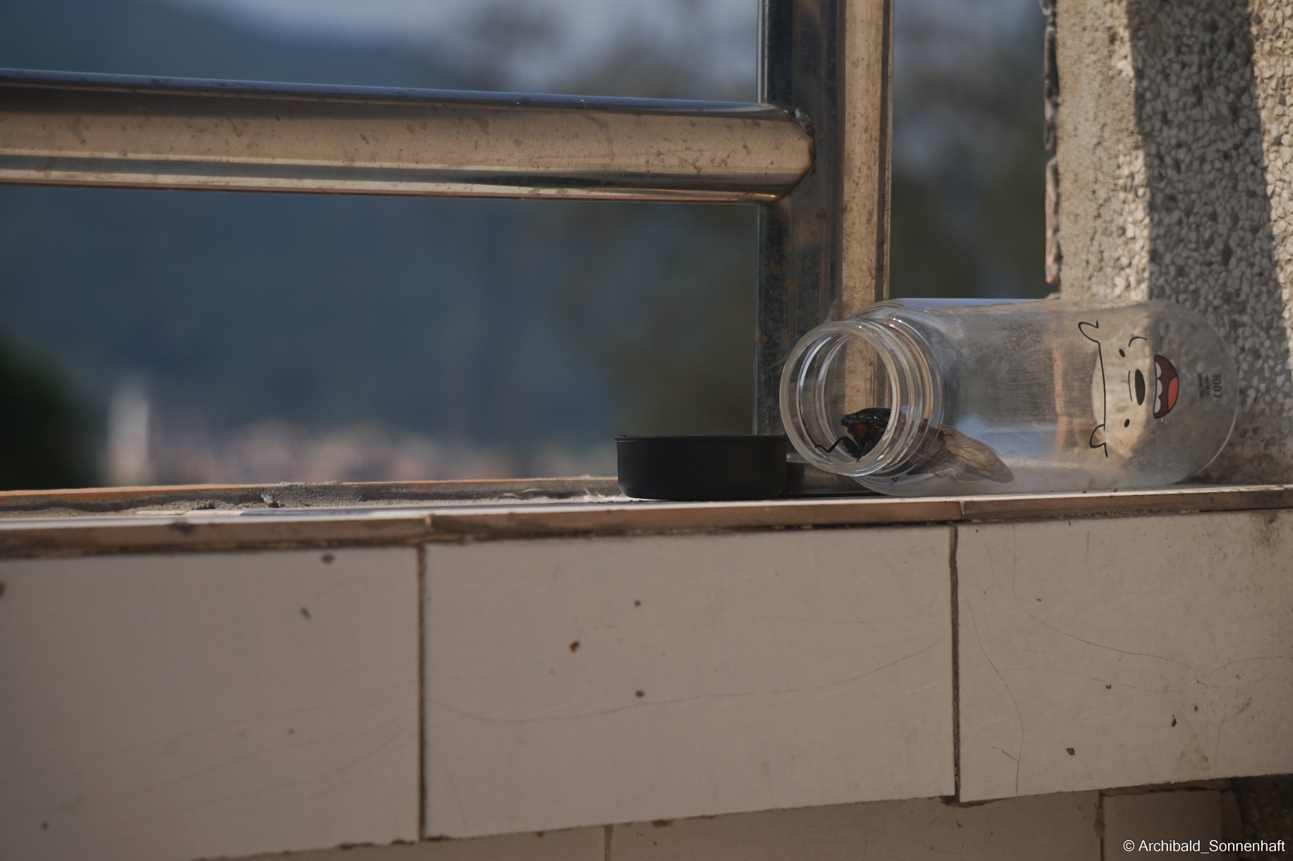 My first year of independent living, my first year in china, Guangzhou. Photographer in Guangzhou, China. Archibald Sonnenhaft