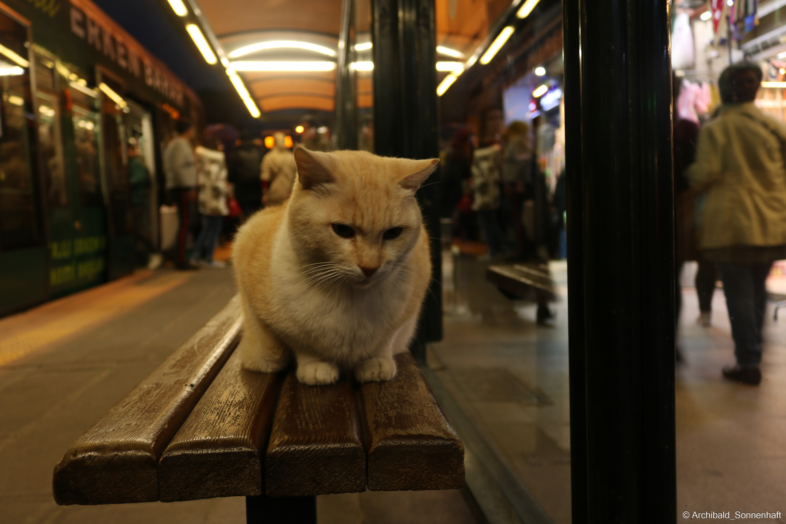 🇹🇷 Istambul, 2018-03. Photographer in Guangzhou, China. Archibald Sonnenhaft