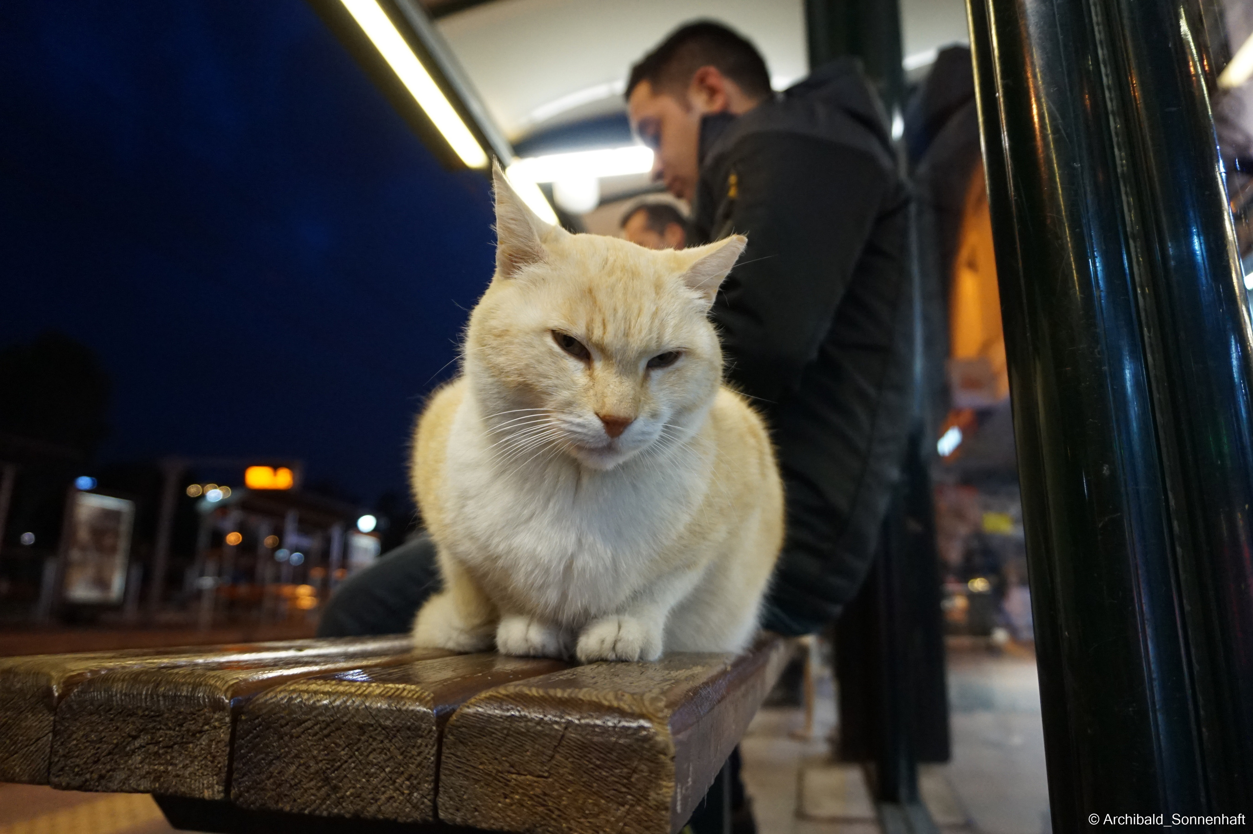🇹🇷 Istambul, 2018-03. Photographer in Guangzhou, China. Archibald Sonnenhaft