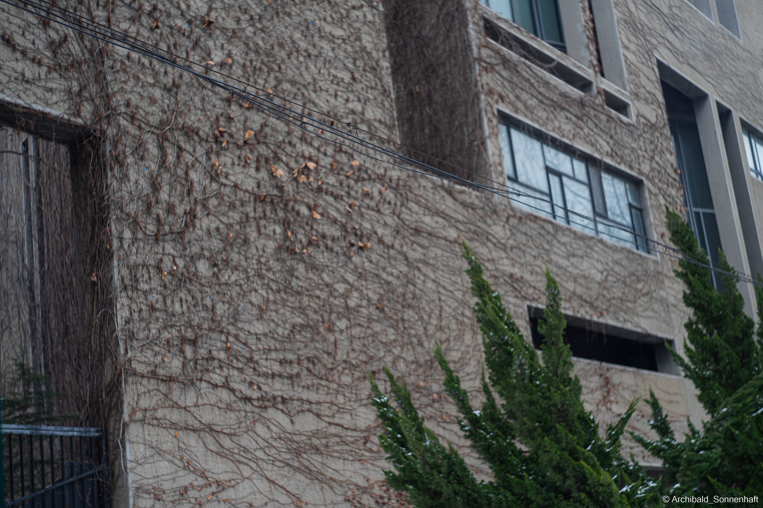 Student of Tianjin University from Kyrgyzstan. Photographer in Guangzhou, China. Archibald Sonnenhaft