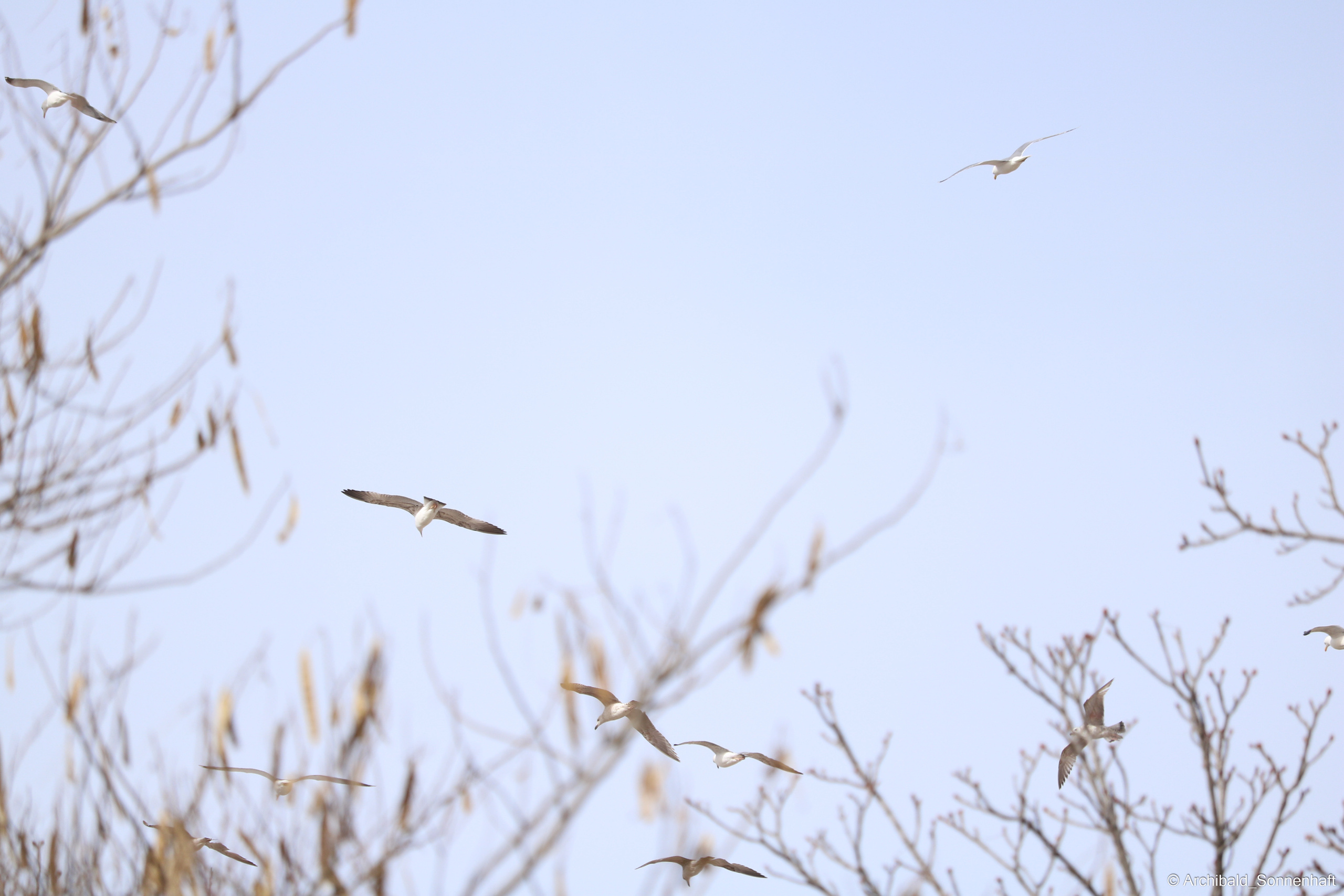 🇹🇷 Istambul, 2018-03. Photographer in Guangzhou, China. Archibald Sonnenhaft