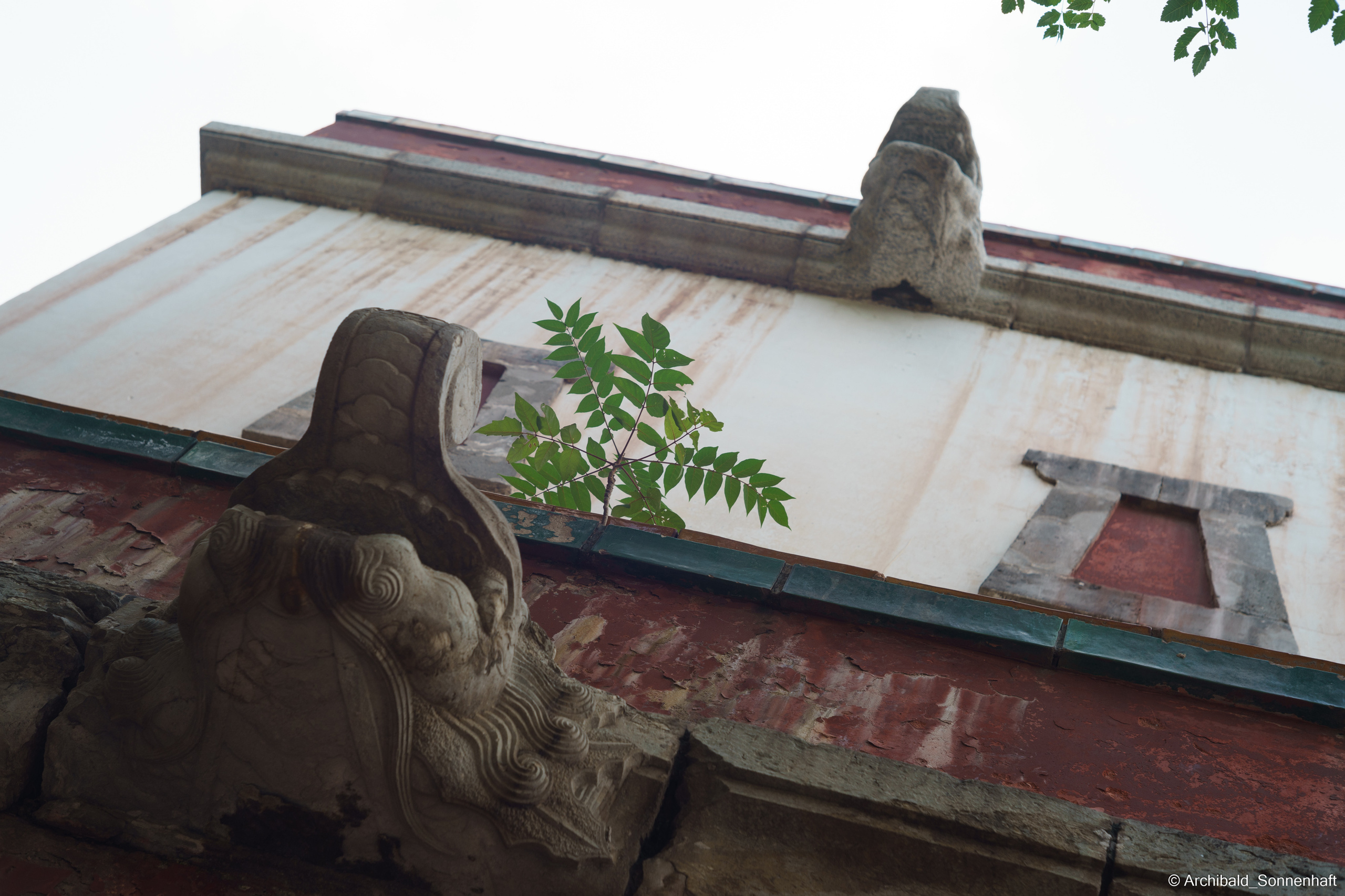 🇨🇳 北京 (Beijng), 2019.07. Photographer in Guangzhou, China. Archibald Sonnenhaft