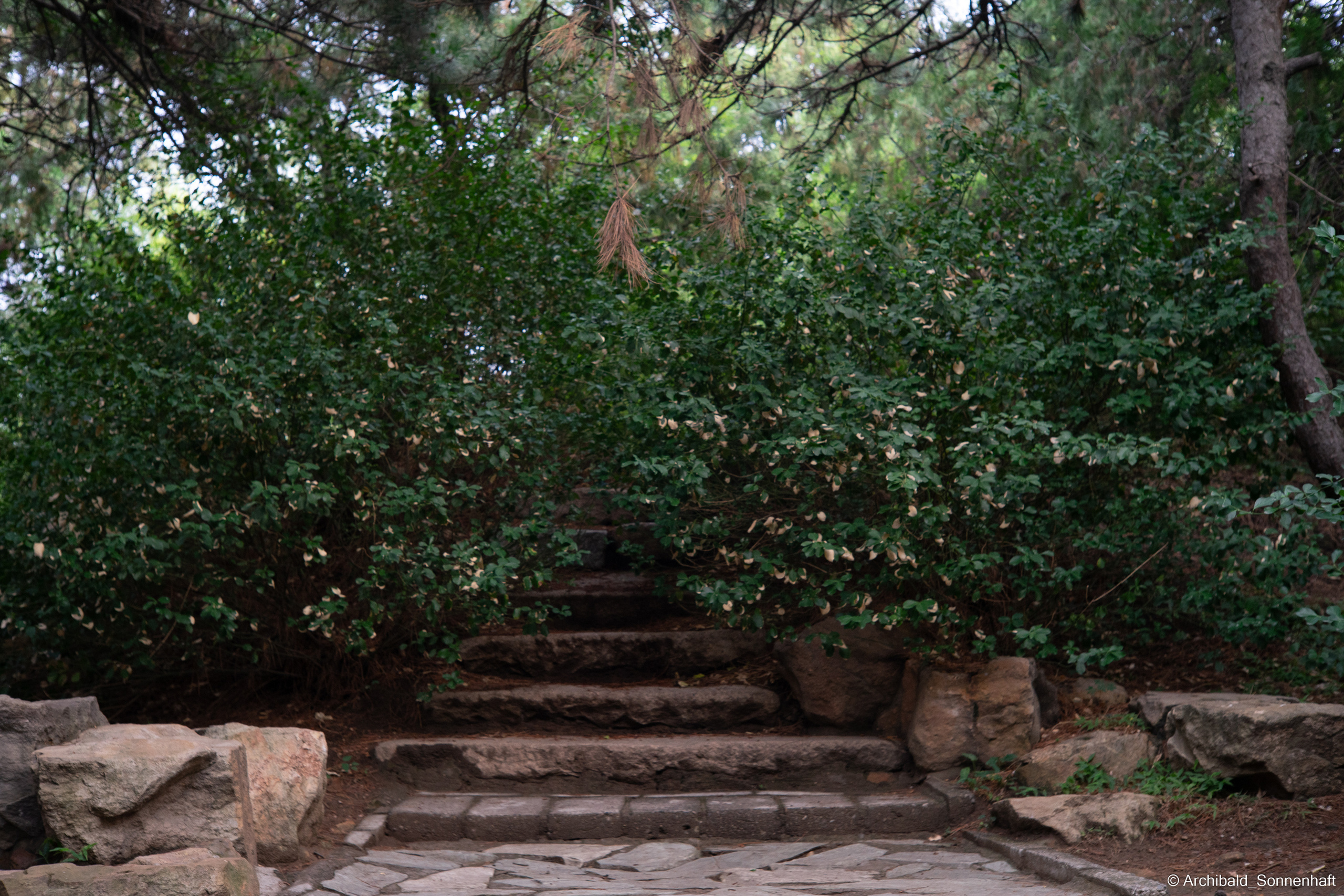 🇨🇳 北京 (Beijng), 2019.07. Photographer in Guangzhou, China. Archibald Sonnenhaft