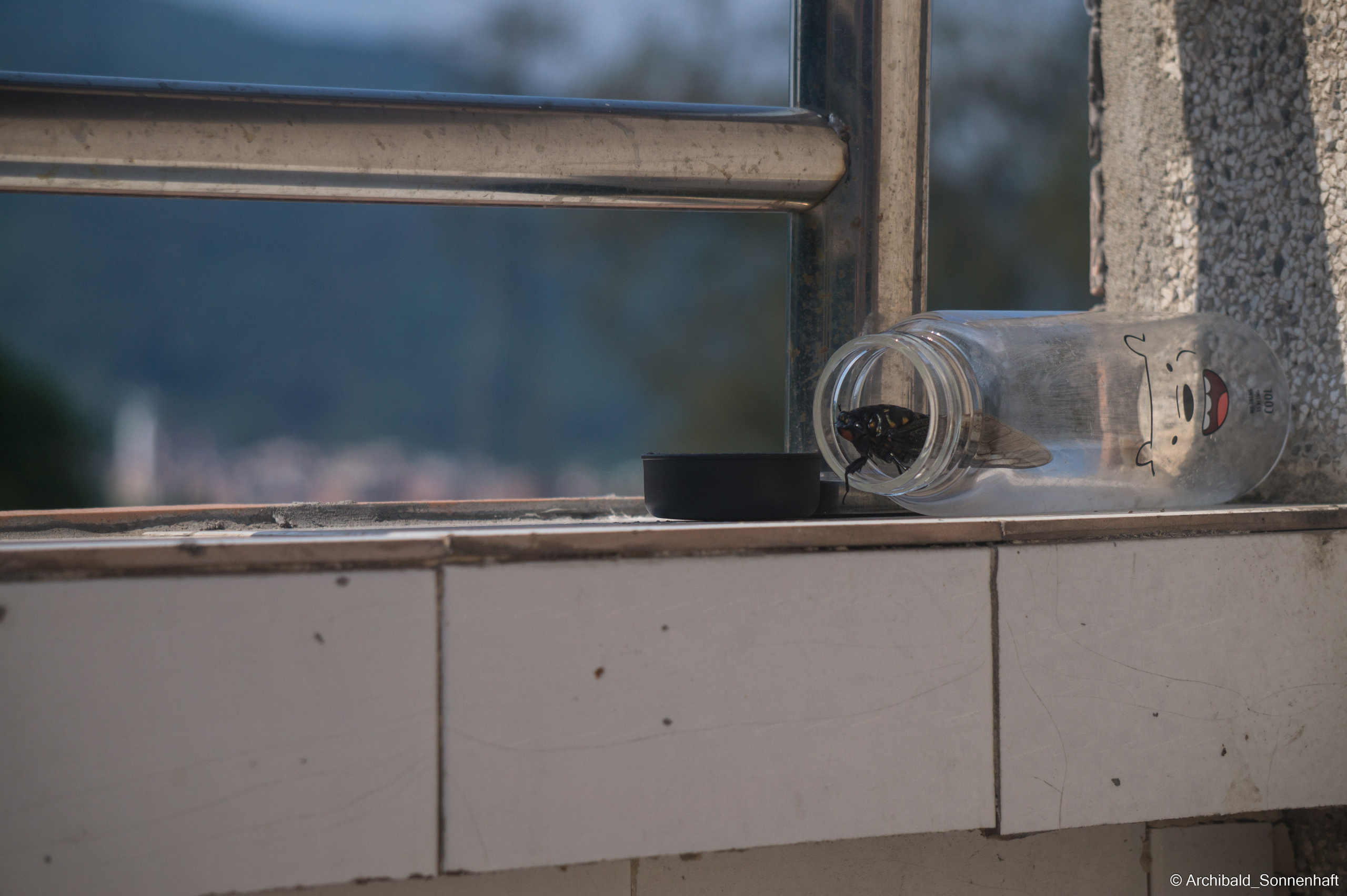 My first year of independent living, my first year in china, Guangzhou. Photographer in Guangzhou, China. Archibald Sonnenhaft