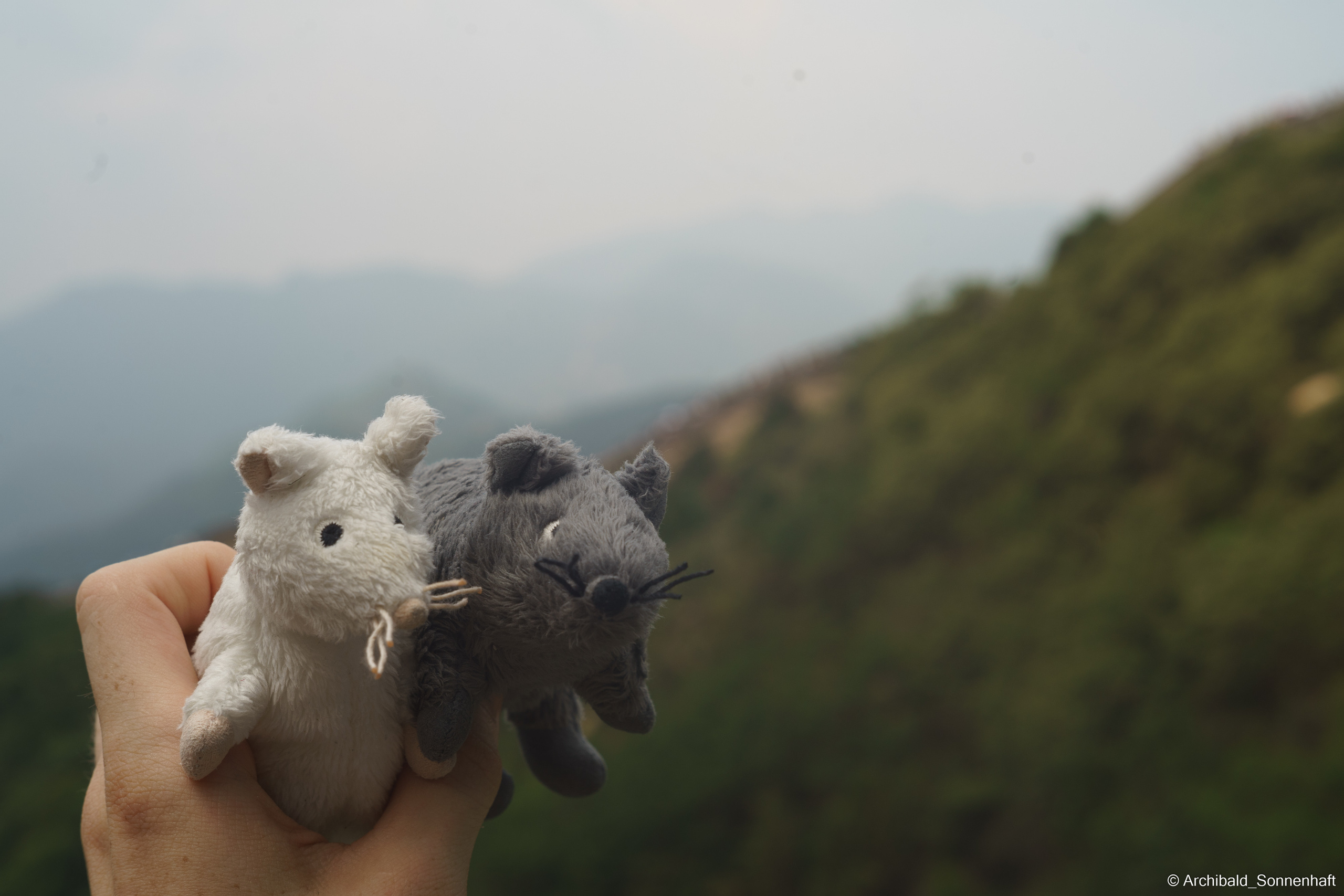 🇨🇳 北京 (Beijng), 2019.07. Photographer in Guangzhou, China. Archibald Sonnenhaft