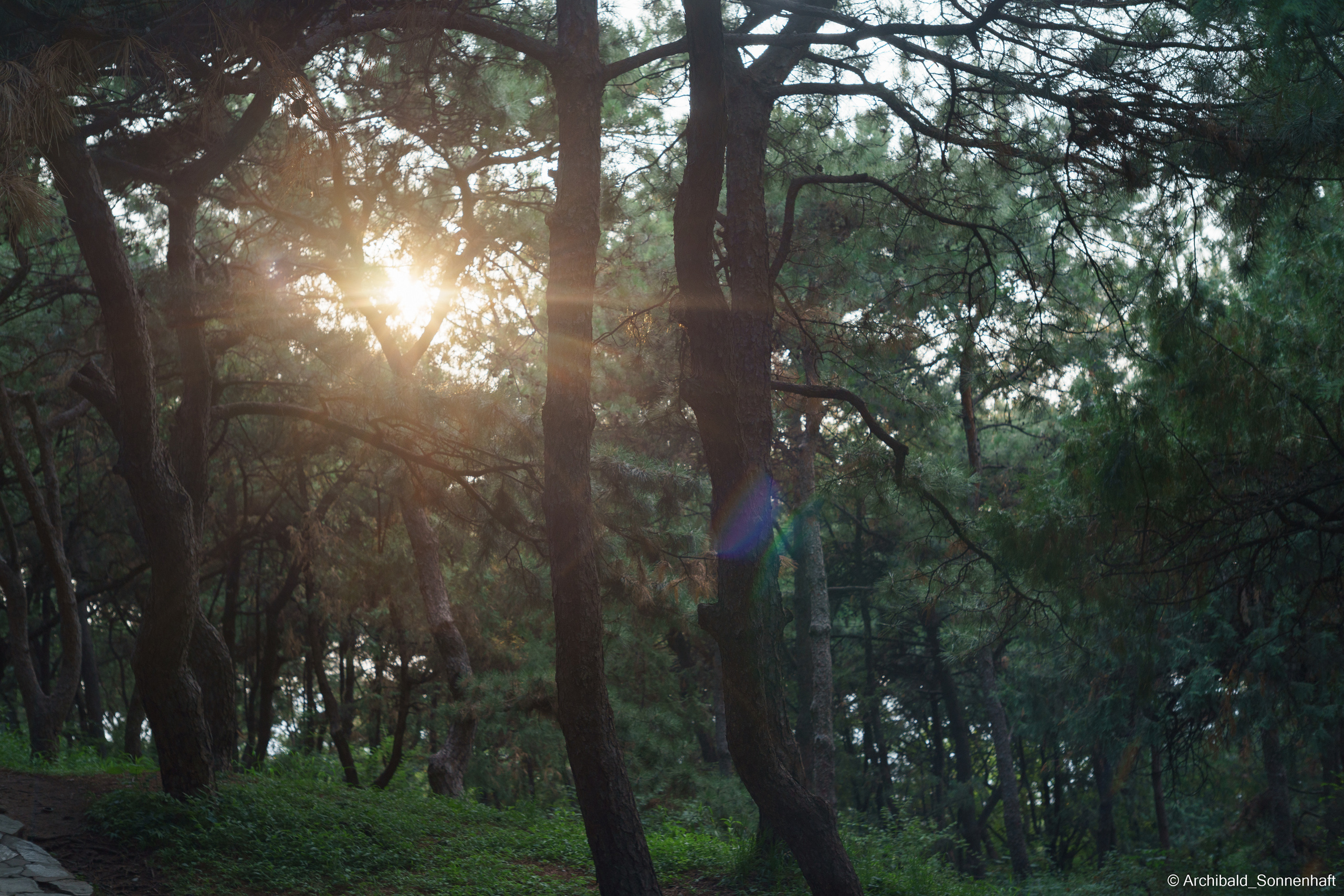 🇨🇳 北京 (Beijng), 2019.07. Photographer in Guangzhou, China. Archibald Sonnenhaft