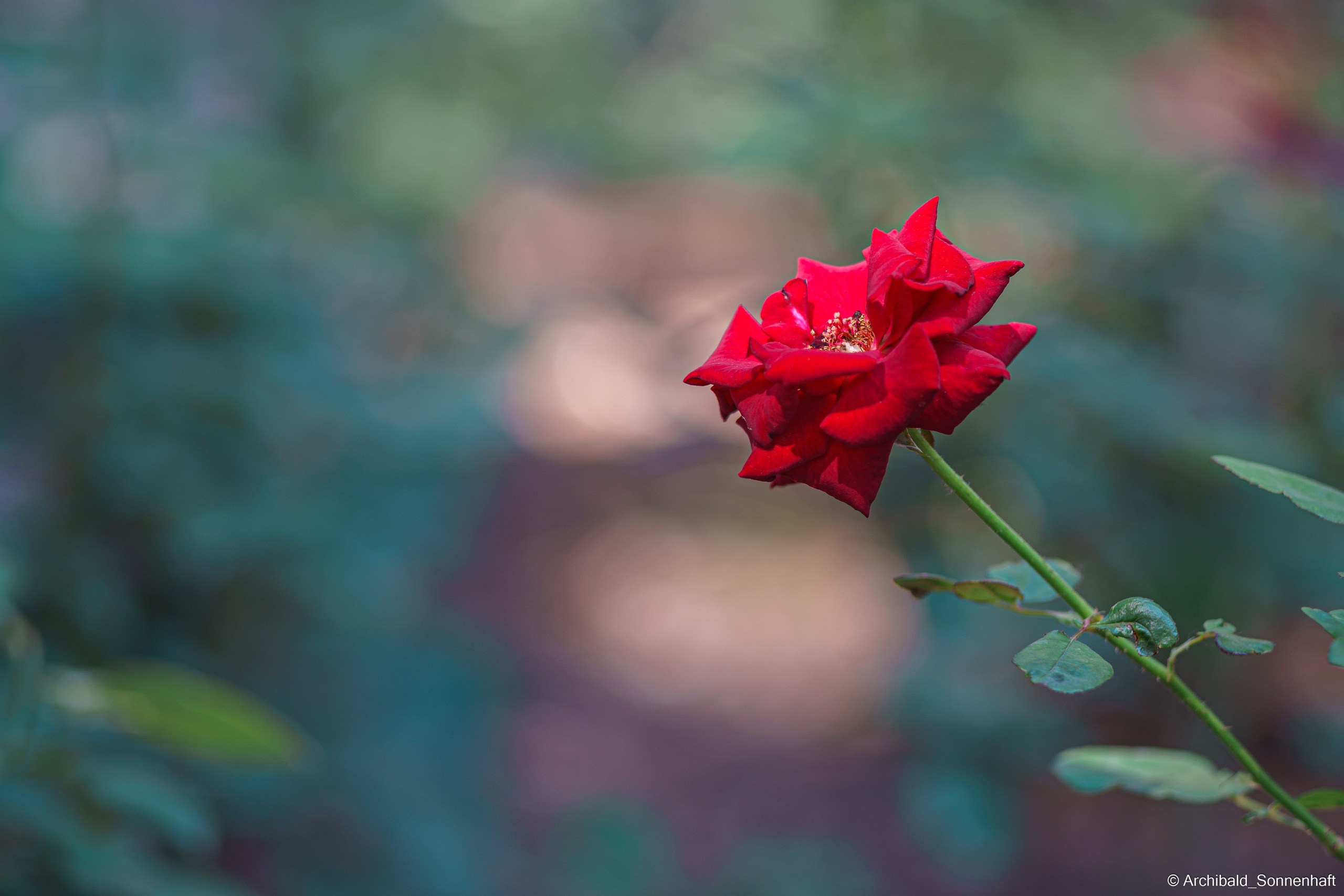 🇨🇳 北京 (Beijng), 2019.07. Photographer in Guangzhou, China. Archibald Sonnenhaft