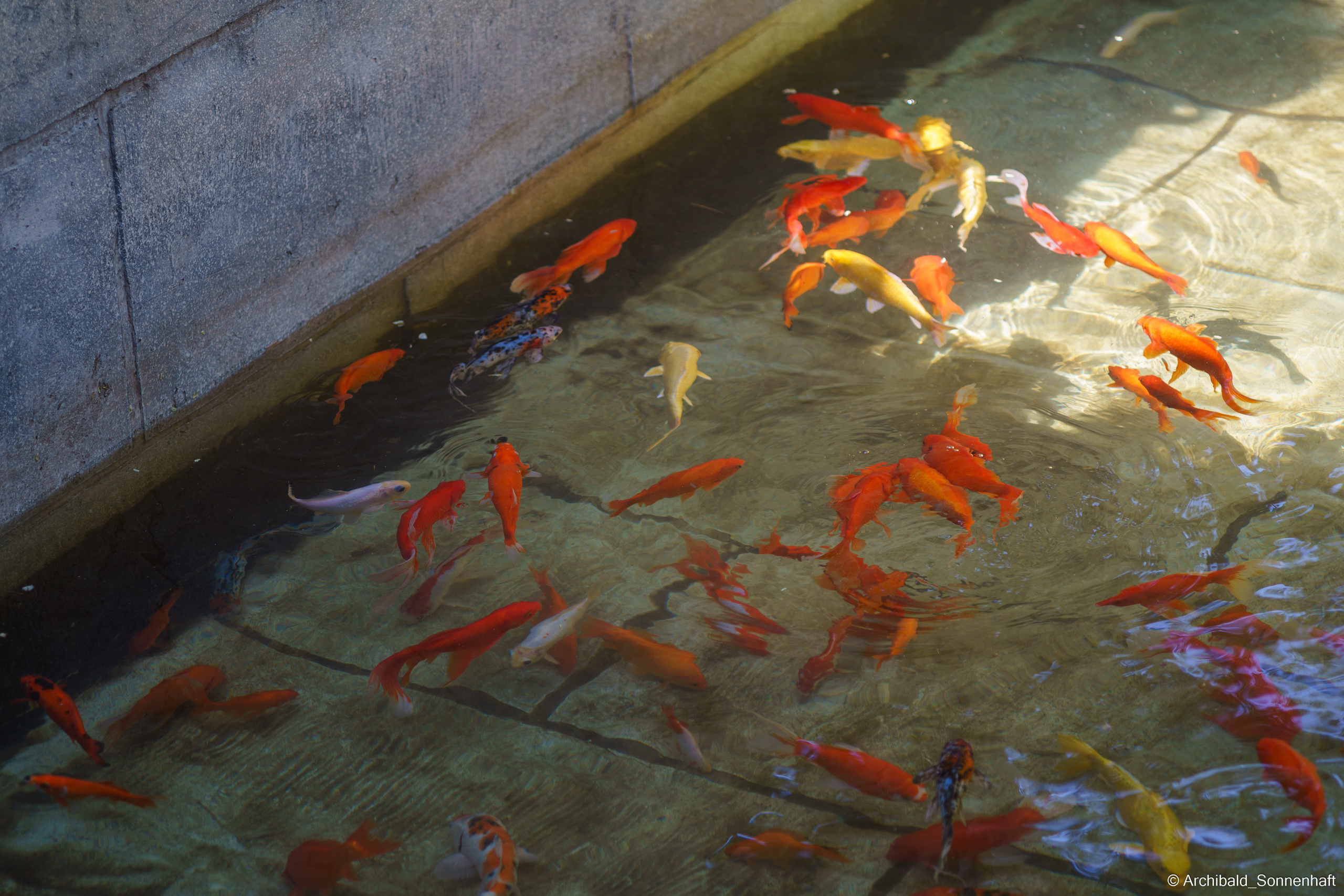 🇨🇳 北京 (Beijng), 2019.07. Photographer in Guangzhou, China. Archibald Sonnenhaft