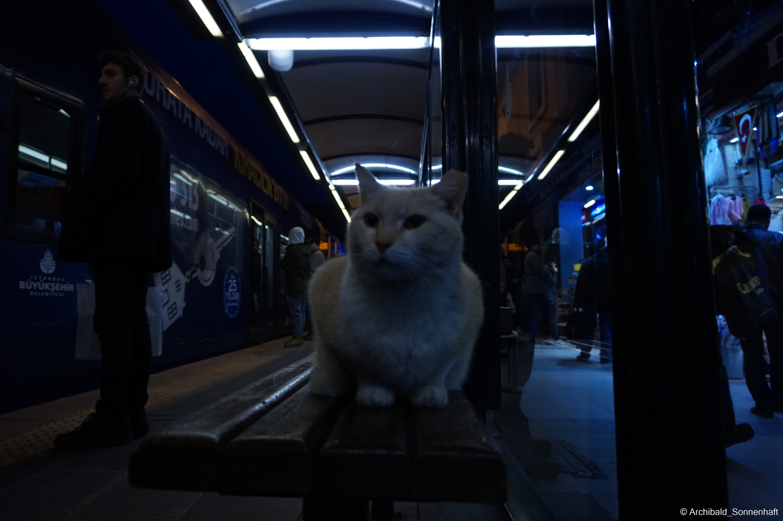 🇹🇷 Istambul, 2018-03. Photographer in Guangzhou, China. Archibald Sonnenhaft