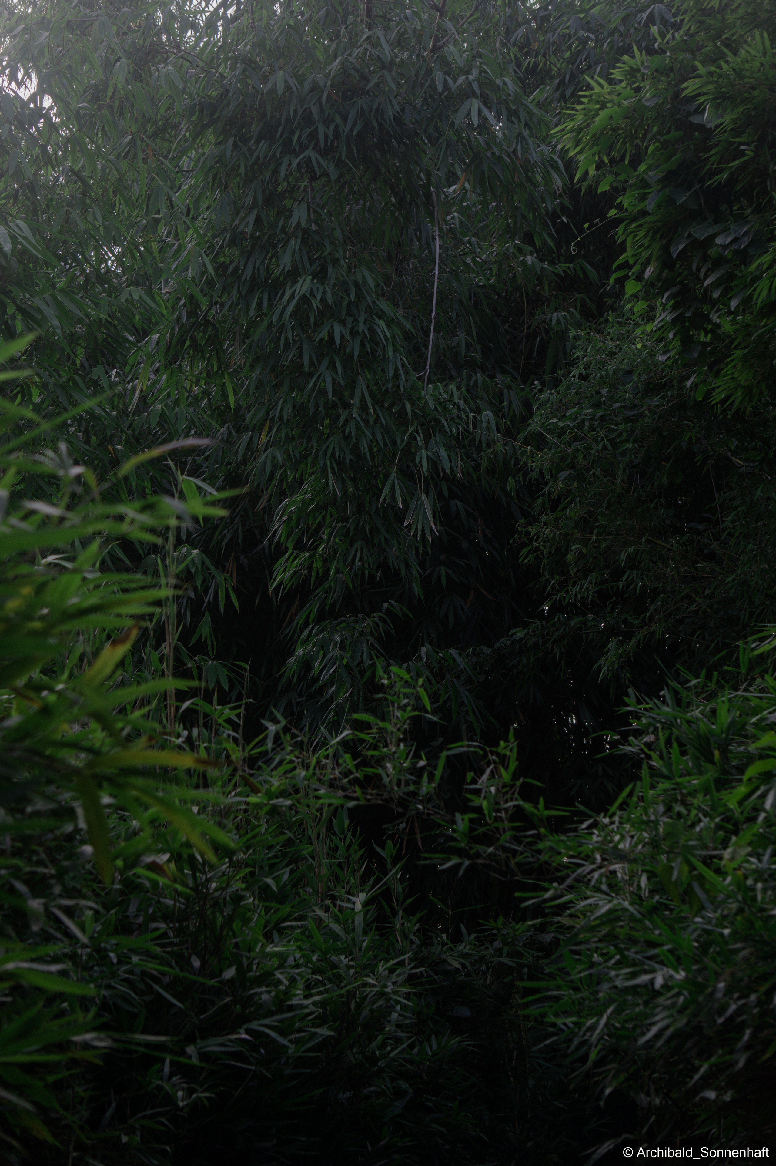 My first year of independent living, my first year in china, Guangzhou. Photographer in Guangzhou, China. Archibald Sonnenhaft