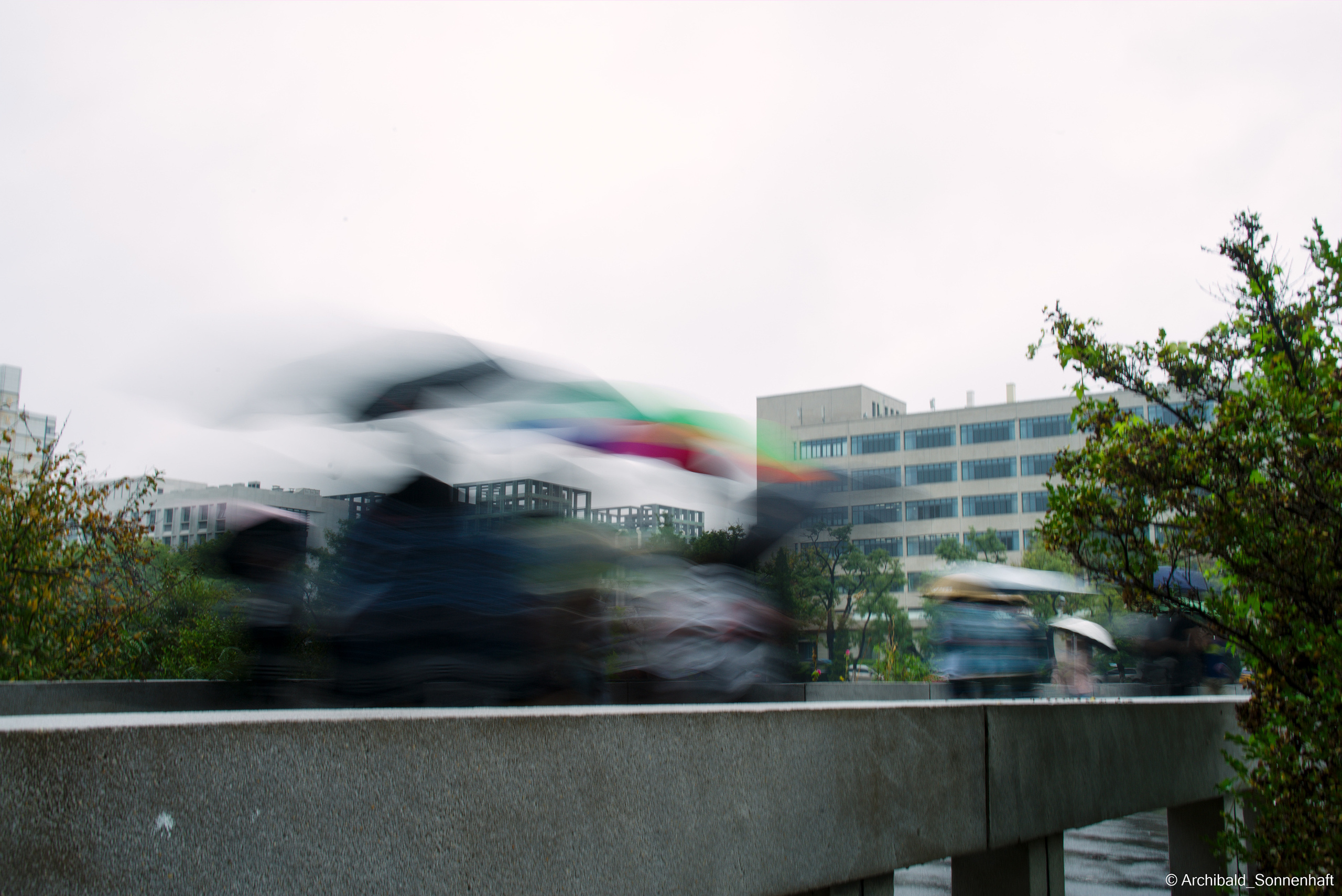 Look what I saw on the walk. Photographer in Guangzhou, China. Archibald Sonnenhaft