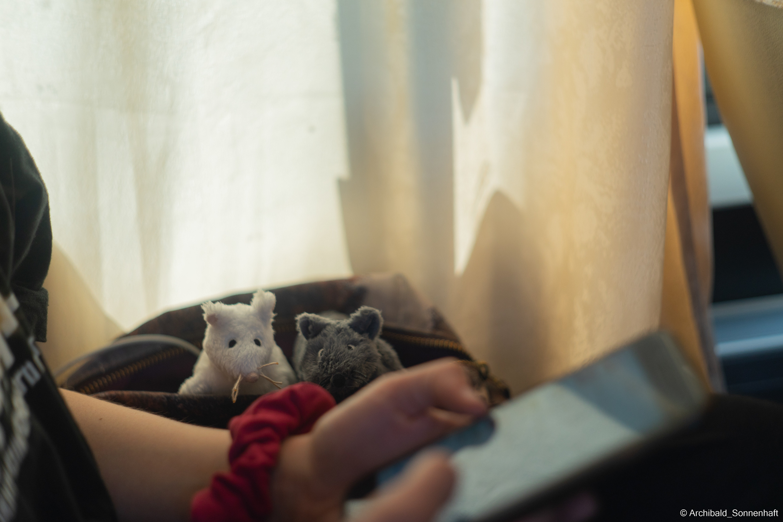 Alina Ermakova, student of Tianjin University. Photographer in Guangzhou, China. Archibald Sonnenhaft