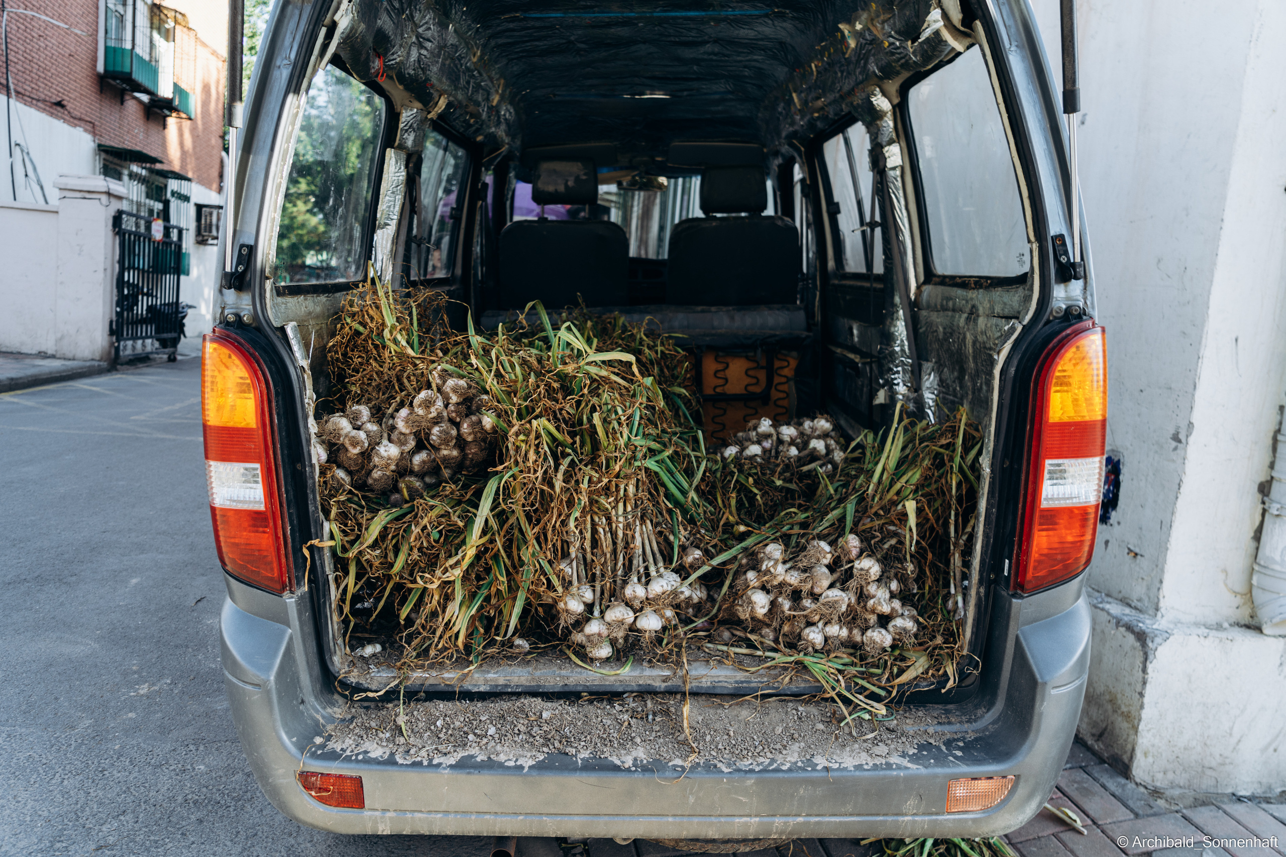 Look what I saw on the walk. Photographer in Guangzhou, China. Archibald Sonnenhaft