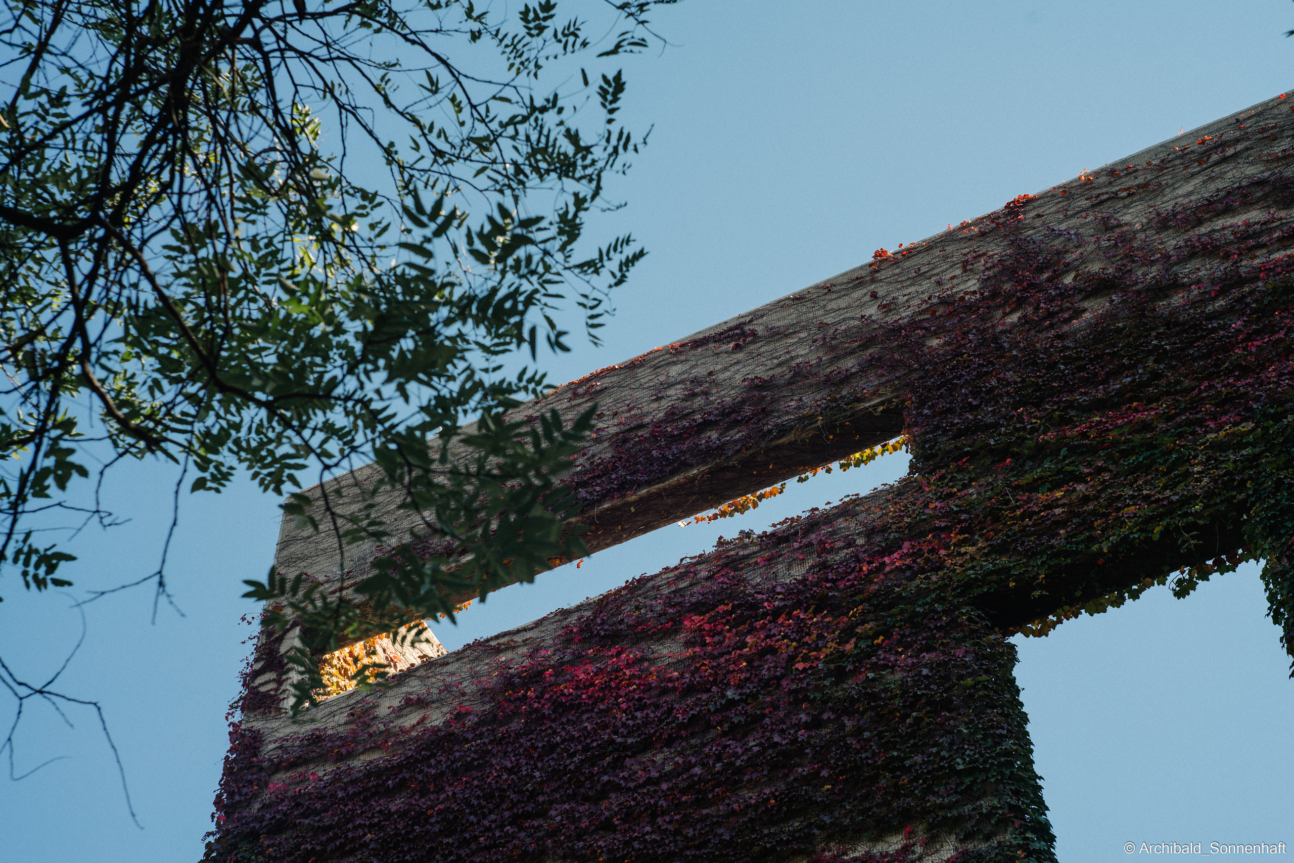 I study here!. Photographer in Guangzhou, China. Archibald Sonnenhaft