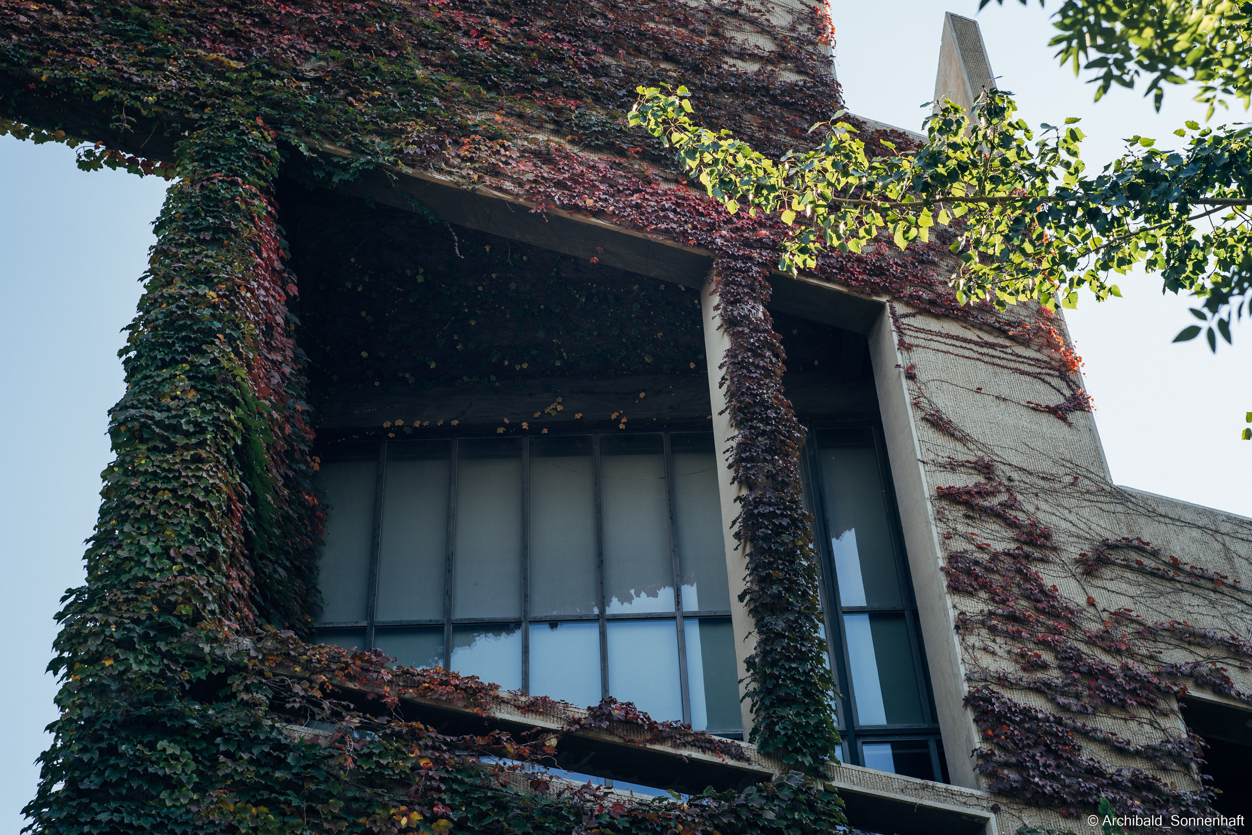 I study here!. Photographer in Guangzhou, China. Archibald Sonnenhaft