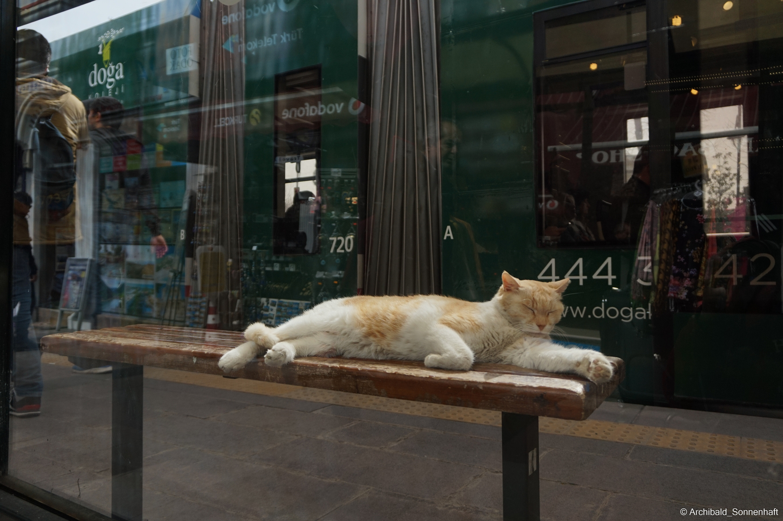 🇹🇷 Istambul, 2018-03. Photographer in Guangzhou, China. Archibald Sonnenhaft