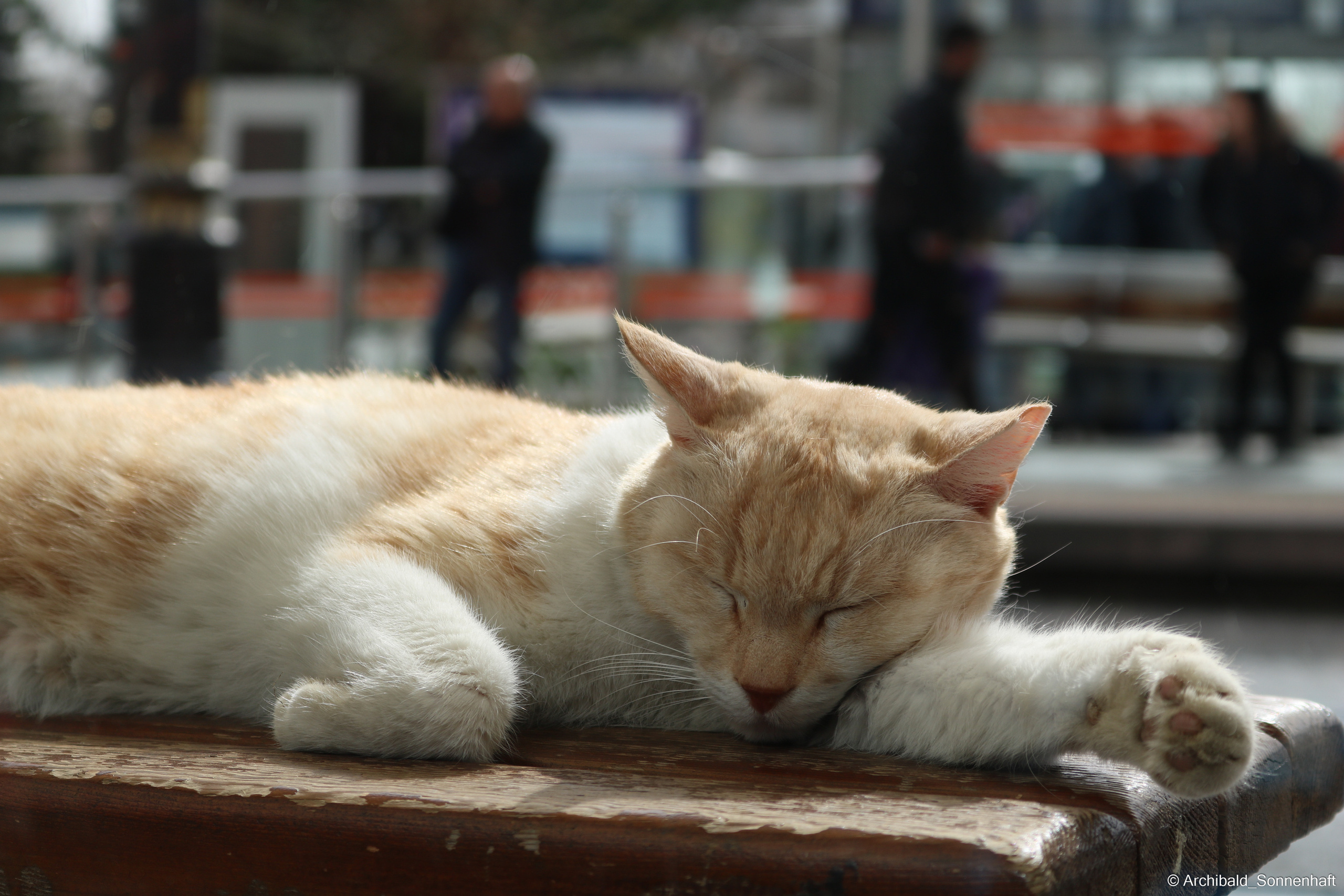 🇹🇷 Istambul, 2018-03. Photographer in Guangzhou, China. Archibald Sonnenhaft
