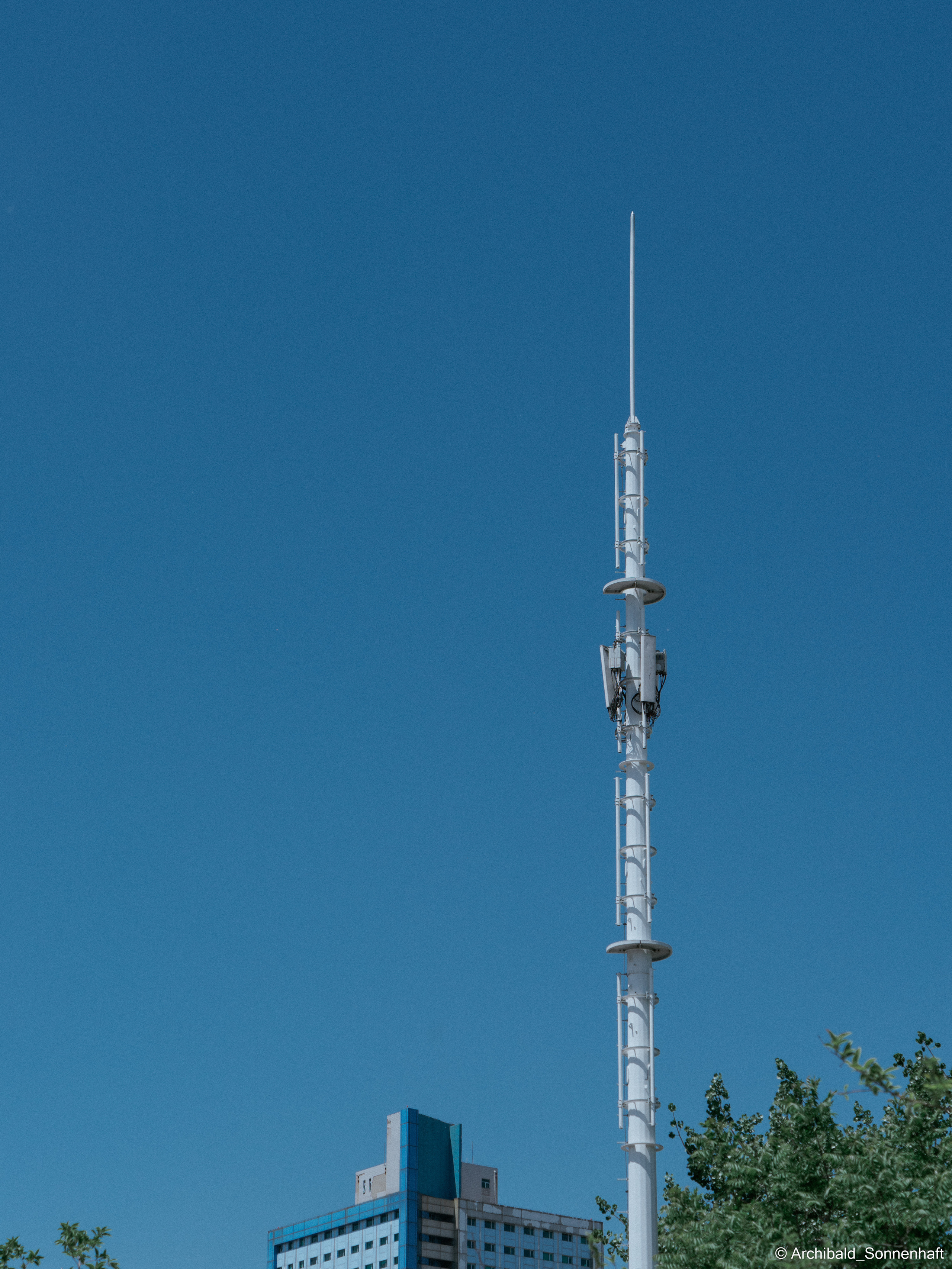 Chenxin, Chinese student of TJU. Photographer in Guangzhou, China. Archibald Sonnenhaft