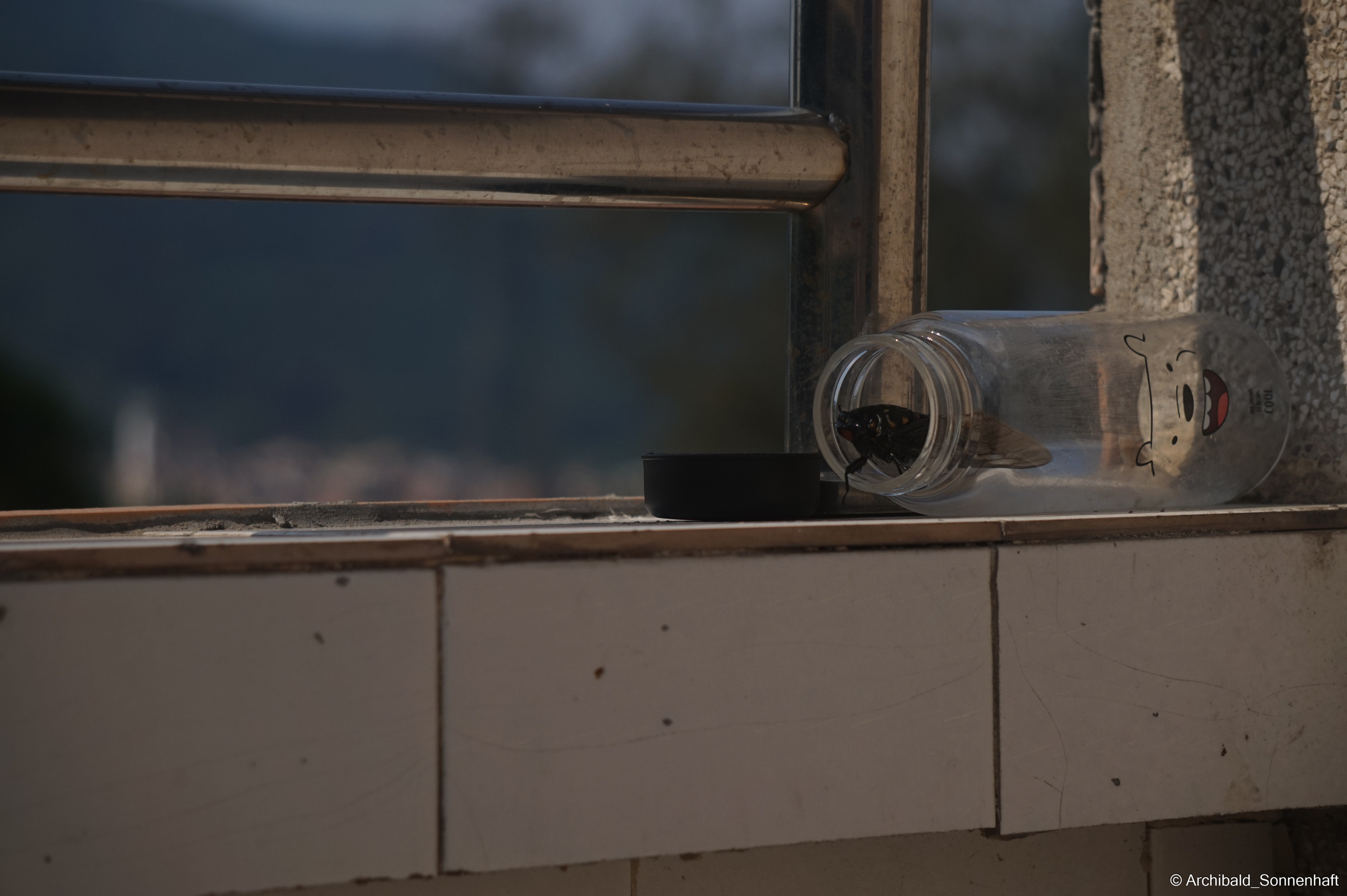 My first year of independent living, my first year in china, Guangzhou. Photographer in Guangzhou, China. Archibald Sonnenhaft