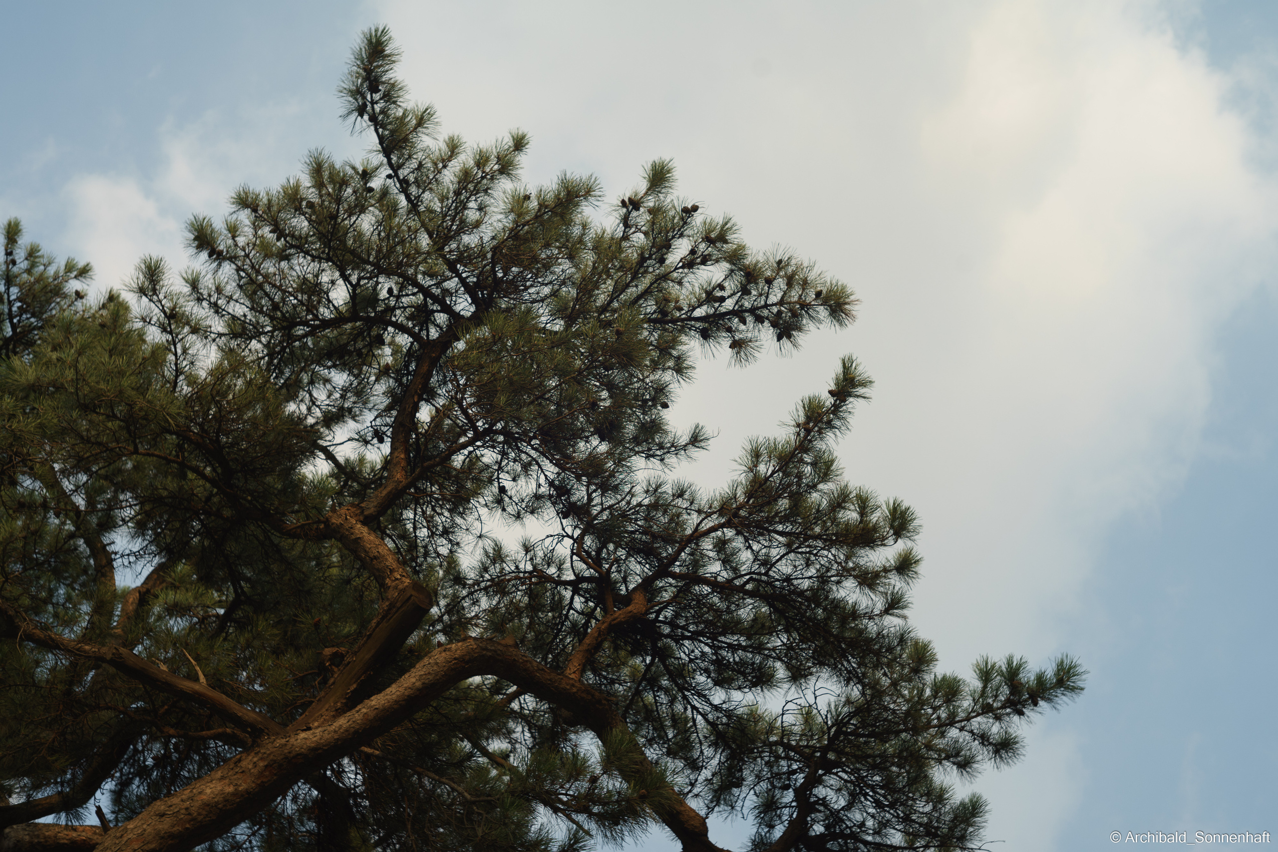 🇨🇳 北京 (Beijng), 2019.07. Photographer in Guangzhou, China. Archibald Sonnenhaft