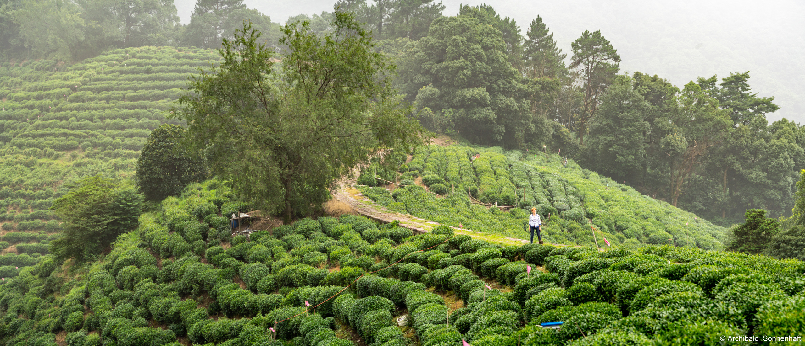 Landscapes. Photographer in Guangzhou, China. Archibald Sonnenhaft