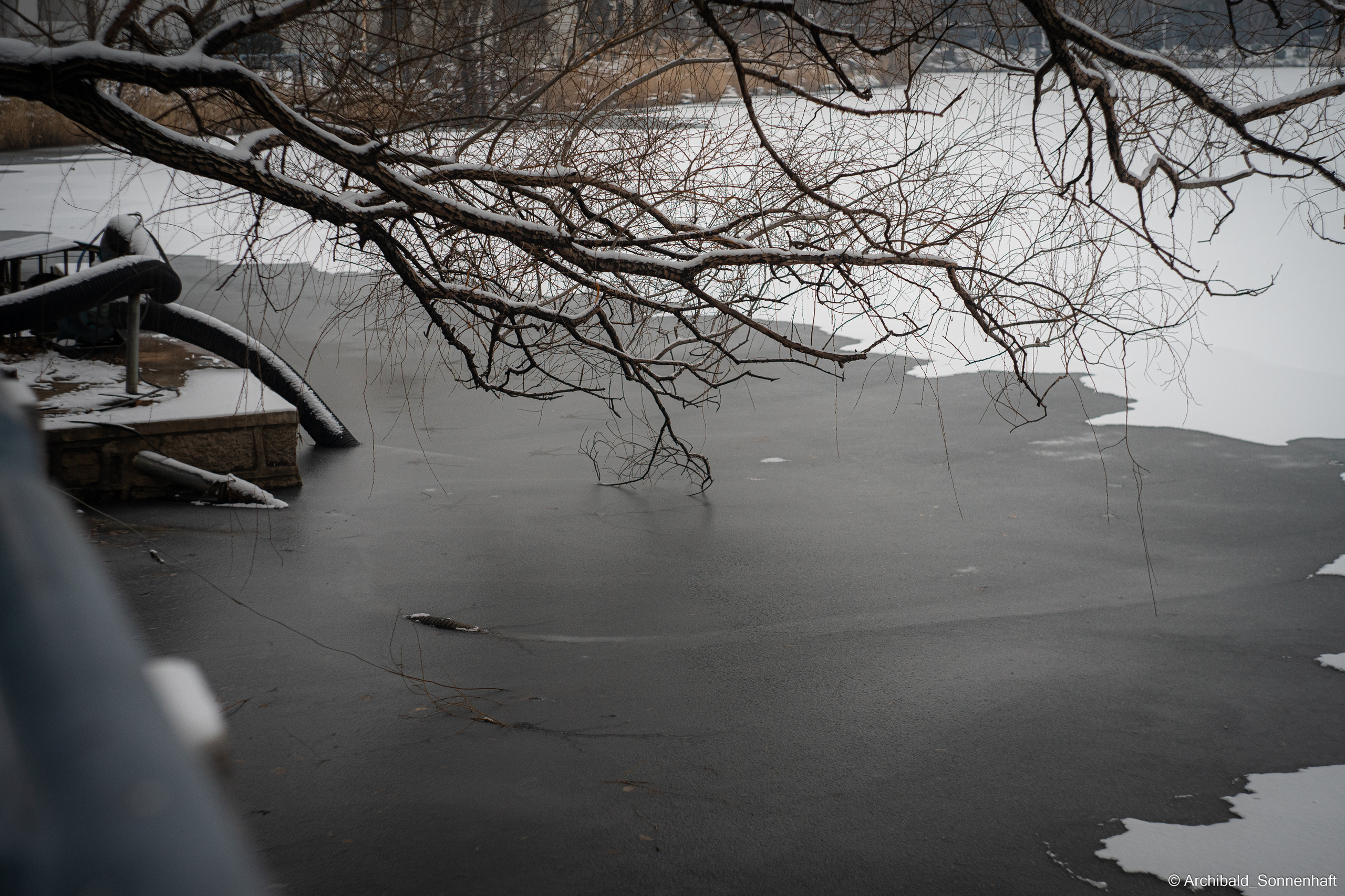 Juan, Student of the SIE, Tianjin University. Photographer in Guangzhou, China. Archibald Sonnenhaft