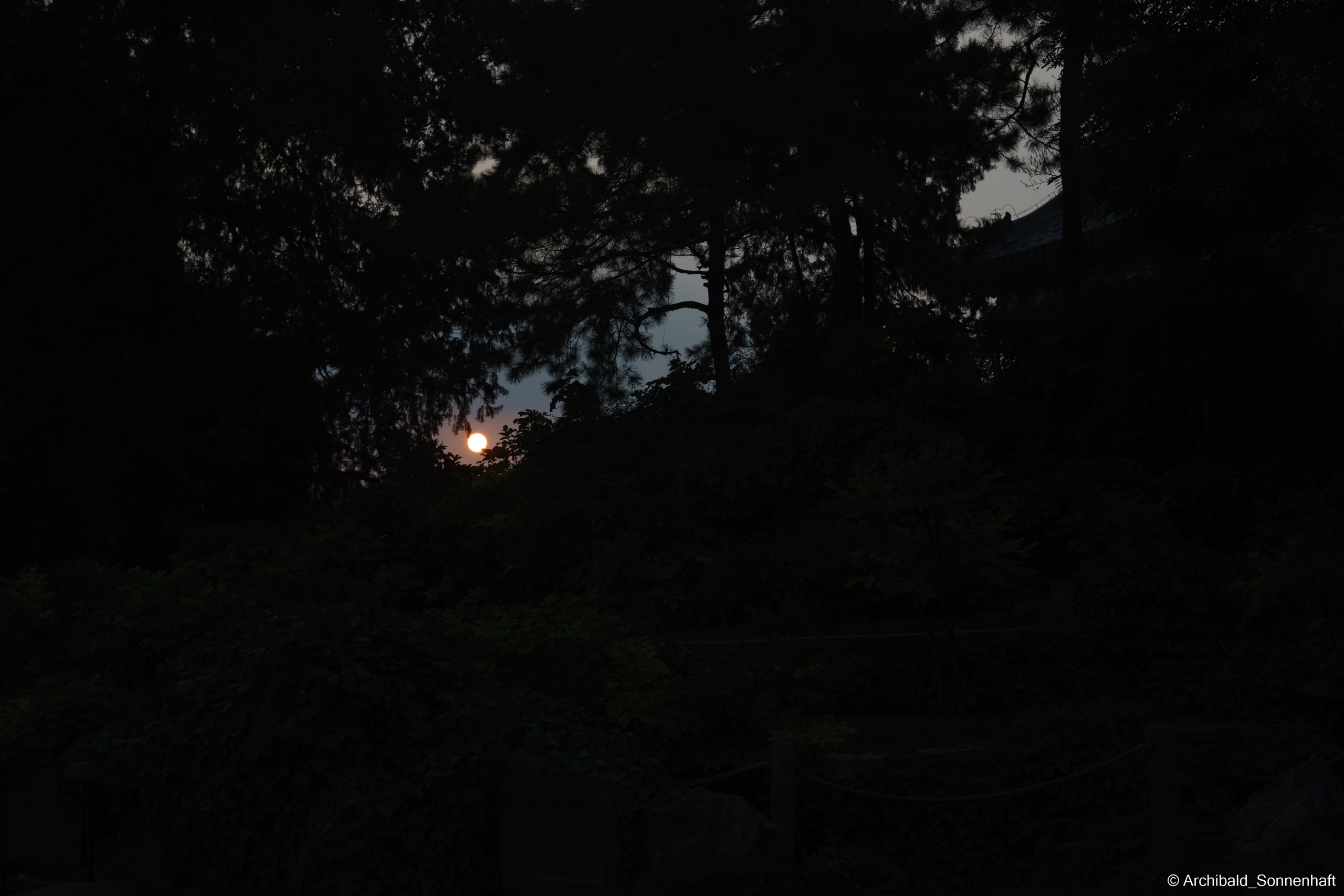 🇨🇳 北京 (Beijng), 2019.07. Photographer in Guangzhou, China. Archibald Sonnenhaft