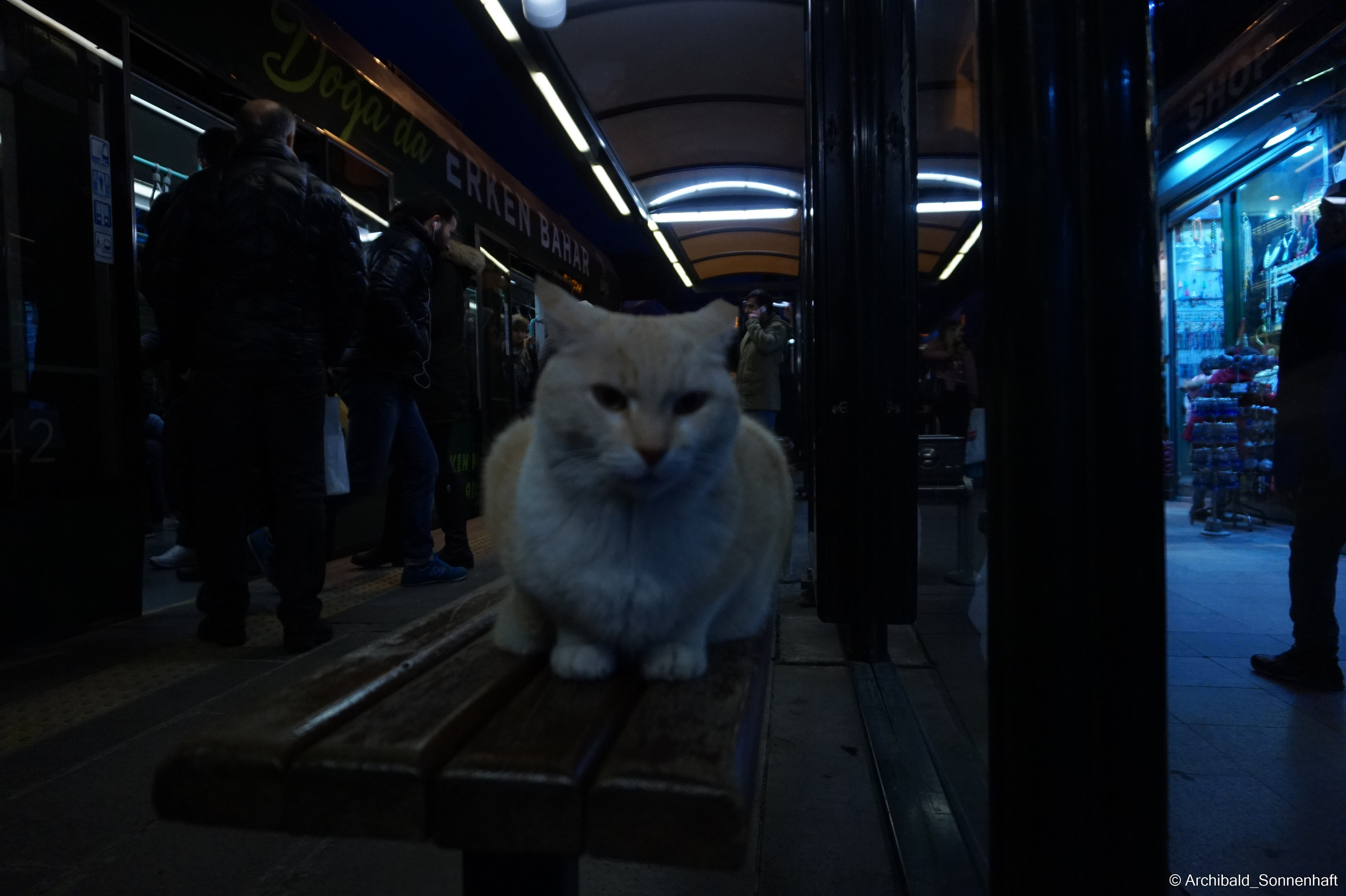 🇹🇷 Istambul, 2018-03. Photographer in Guangzhou, China. Archibald Sonnenhaft