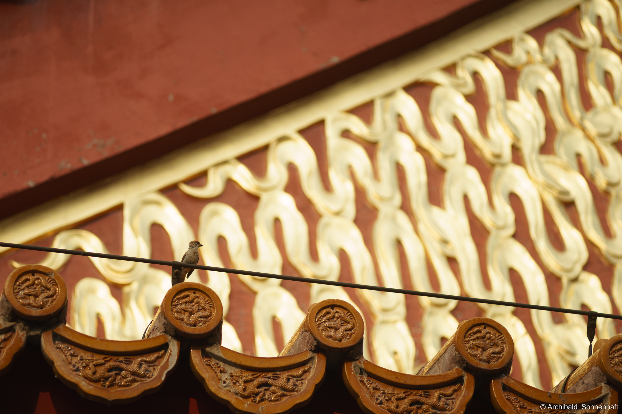 🇨🇳 北京 (Beijng), 2019.07. Photographer in Guangzhou, China. Archibald Sonnenhaft