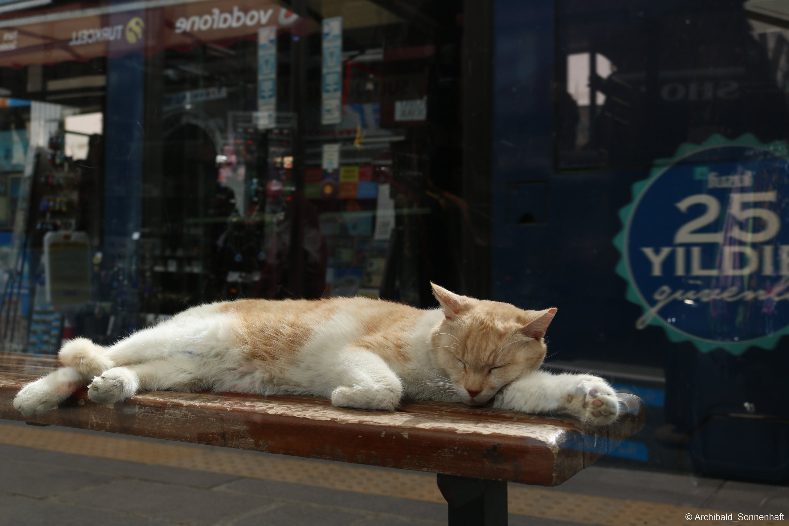 🇹🇷 Istambul, 2018-03. Photographer in Guangzhou, China. Archibald Sonnenhaft