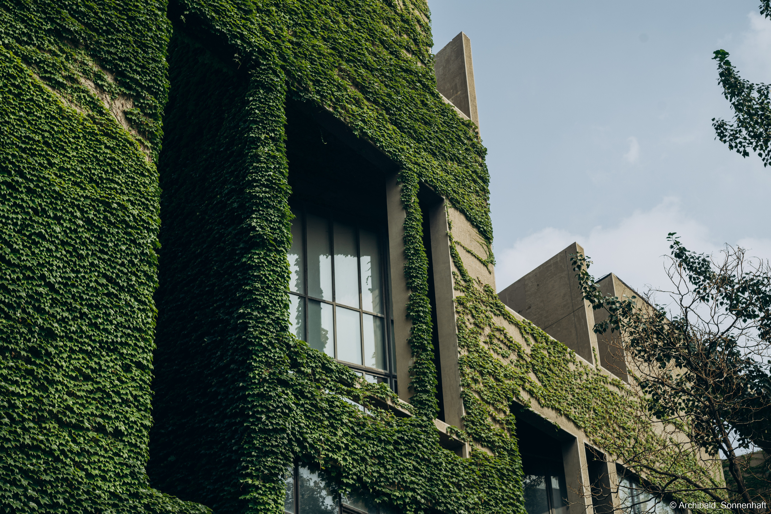 I study here!. Photographer in Guangzhou, China. Archibald Sonnenhaft