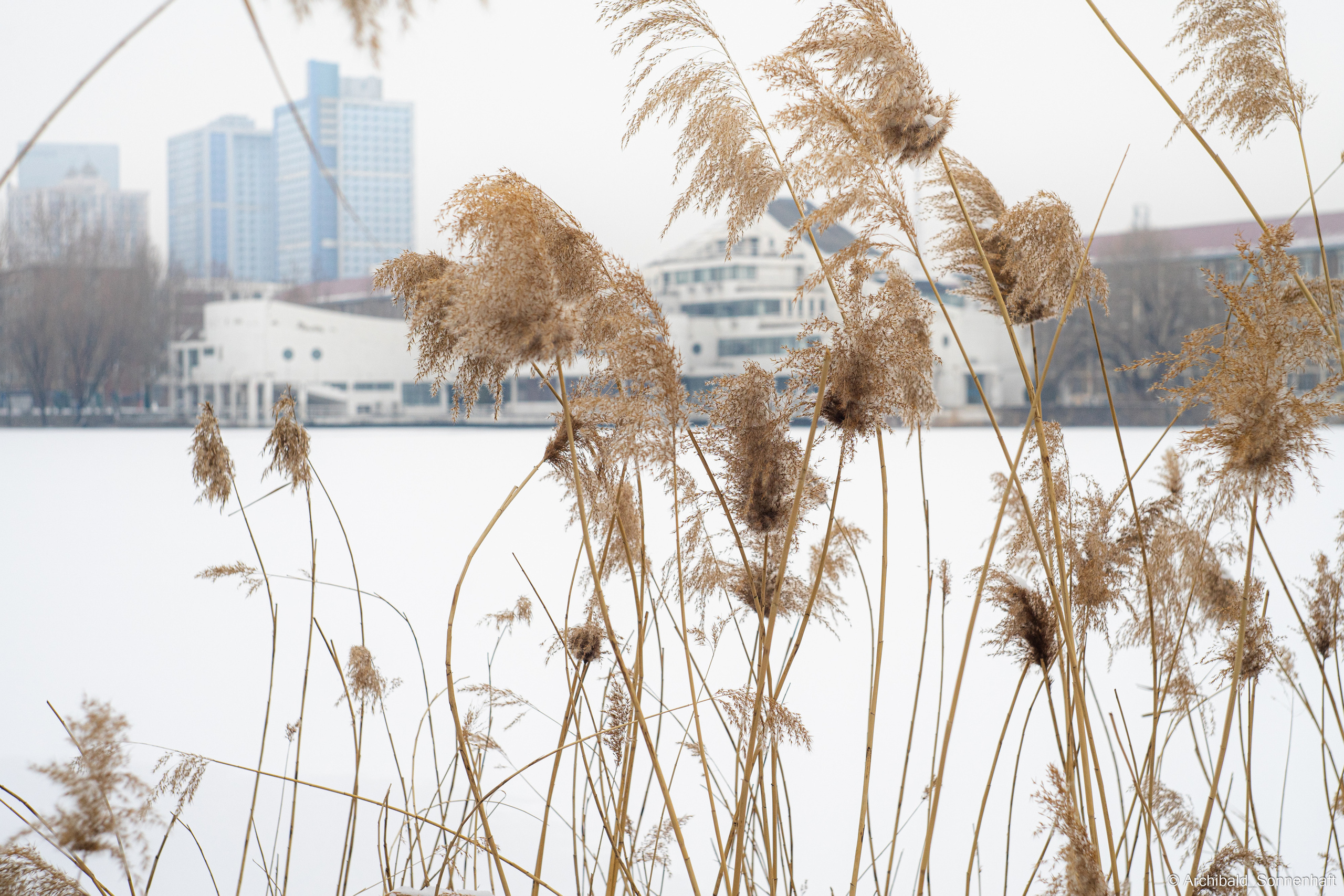 Student of Tianjin University from Kyrgyzstan. Photographer in Guangzhou, China. Archibald Sonnenhaft