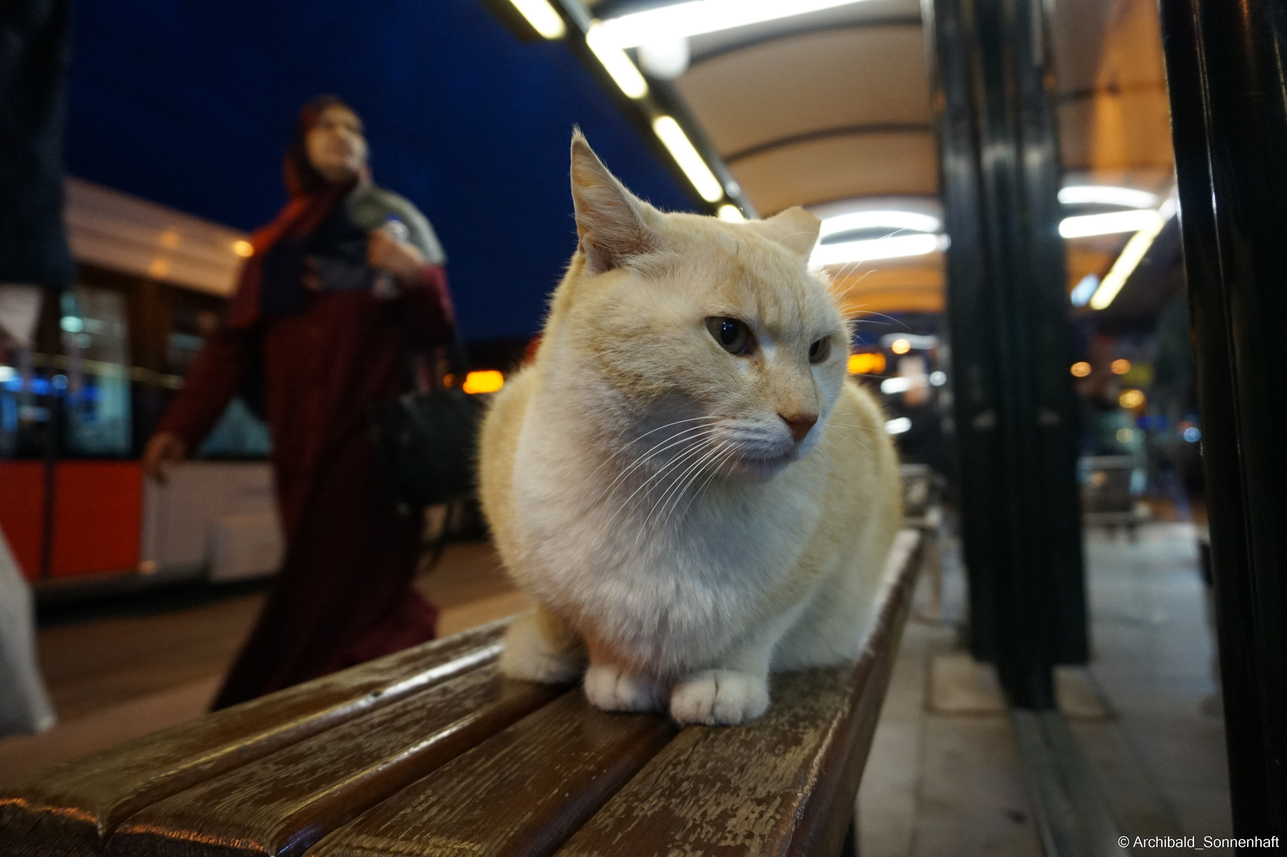🇹🇷 Istambul, 2018-03. Photographer in Guangzhou, China. Archibald Sonnenhaft