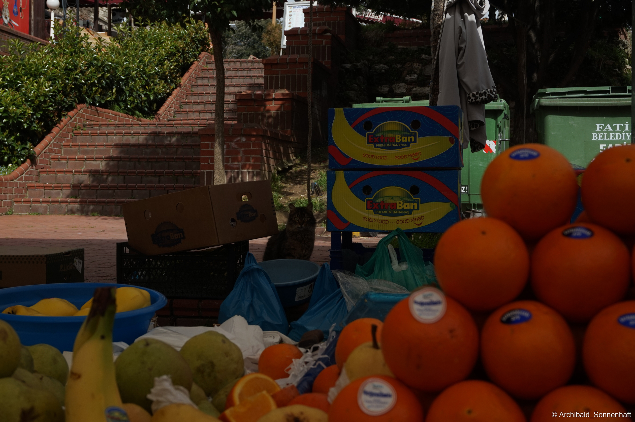 🇹🇷 Istambul, 2018-03. Photographer in Guangzhou, China. Archibald Sonnenhaft