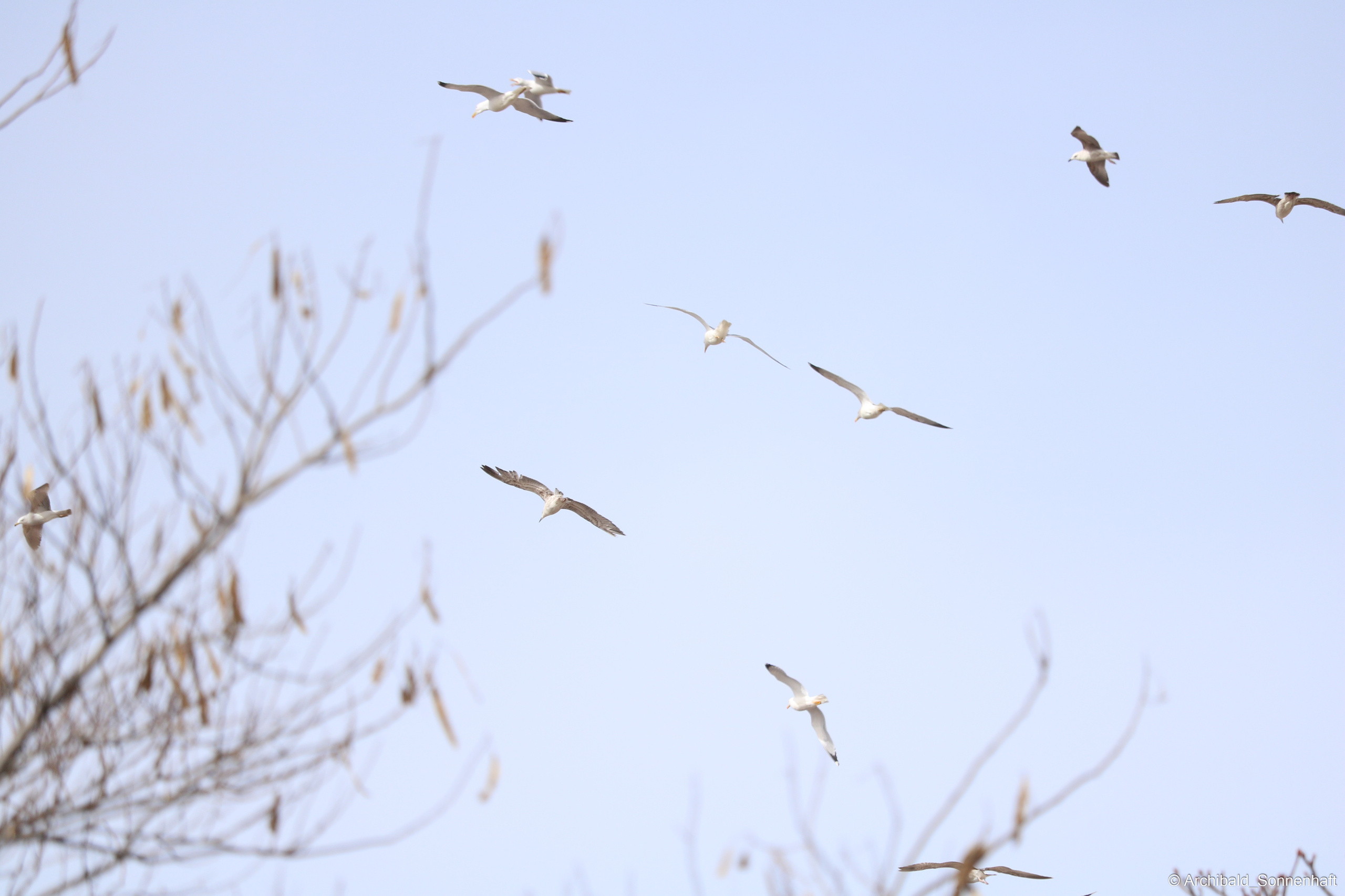 🇹🇷 Istambul, 2018-03. Photographer in Guangzhou, China. Archibald Sonnenhaft