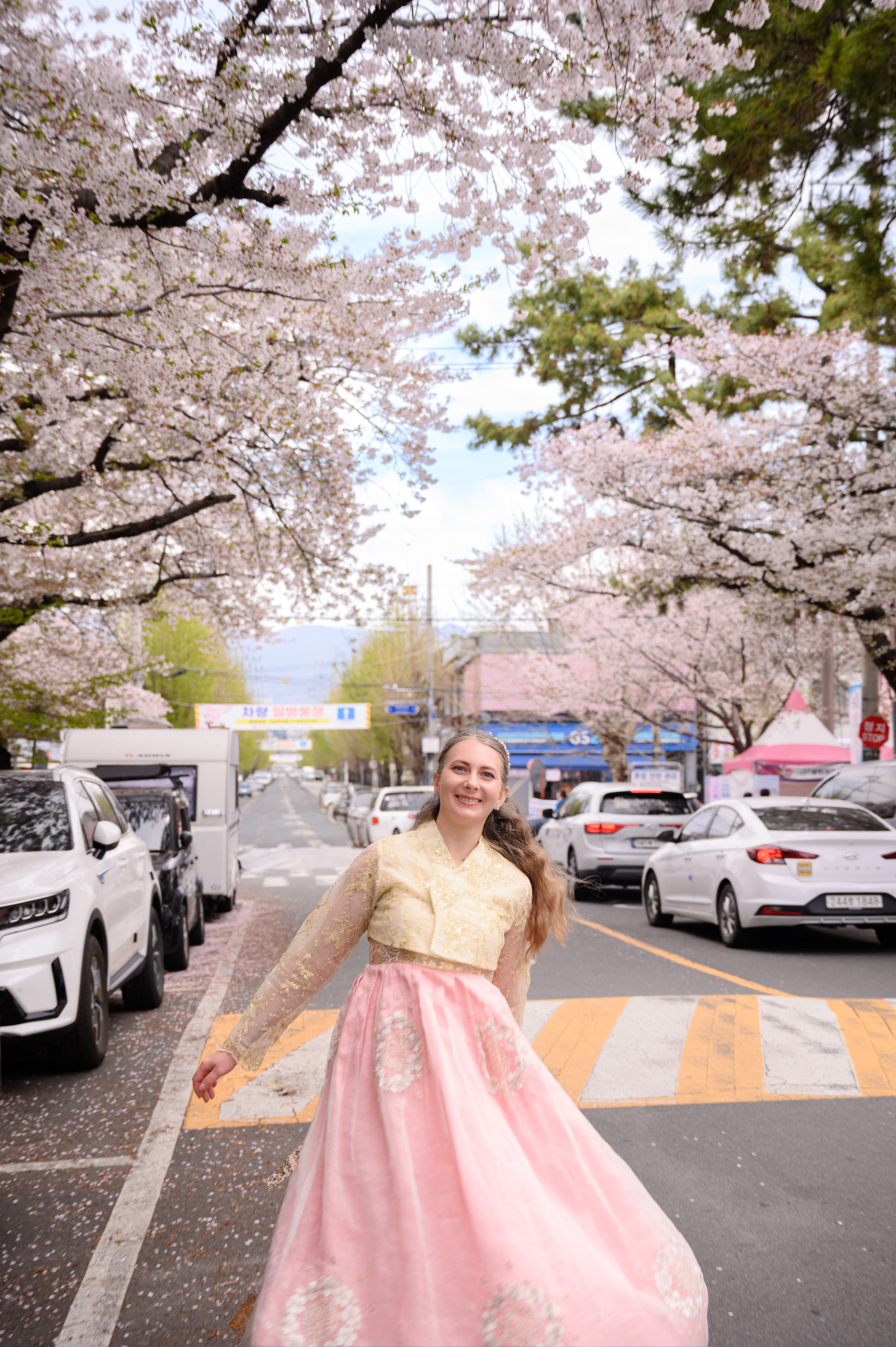Woman in a pink hanbok on a street lined with cherry blossoms — hanbok photoshoot in Busan · 부산 한복 스냅