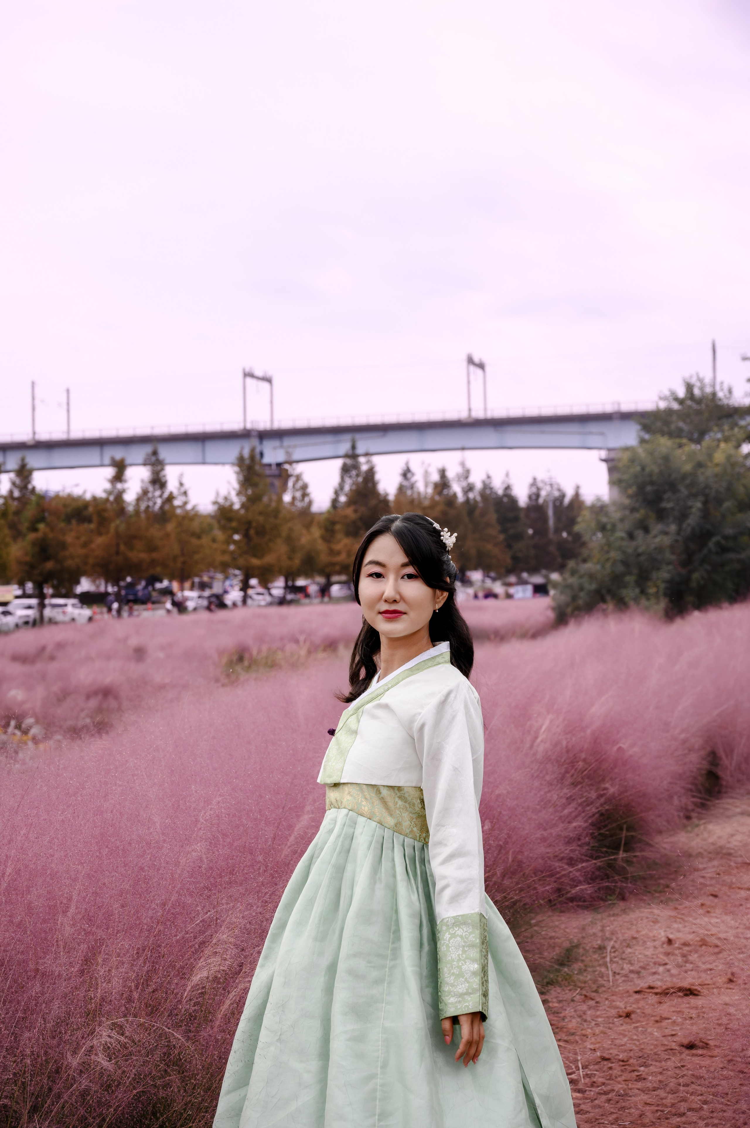 Woman in a mint hanbok in pink grass with a bridge view, Daejeo Ecological Park, Busan · 감천문화마을