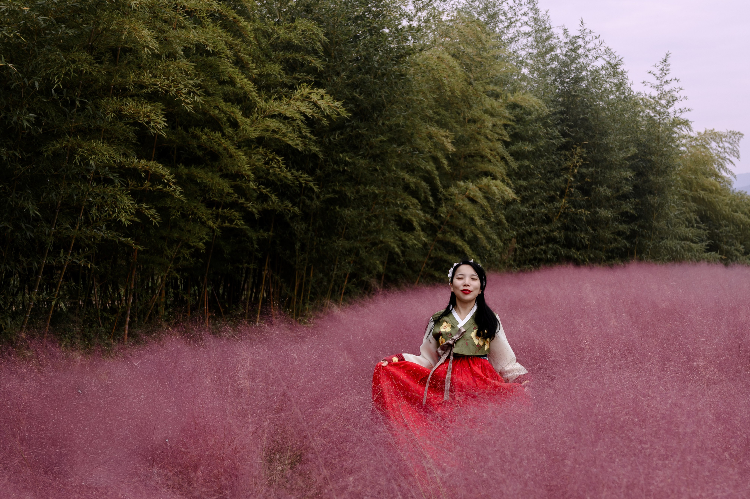 Woman in a red hanbok sitting in pink muhly grass at Daejeo Ecological Park, Busan · 부산 한복 스냅
