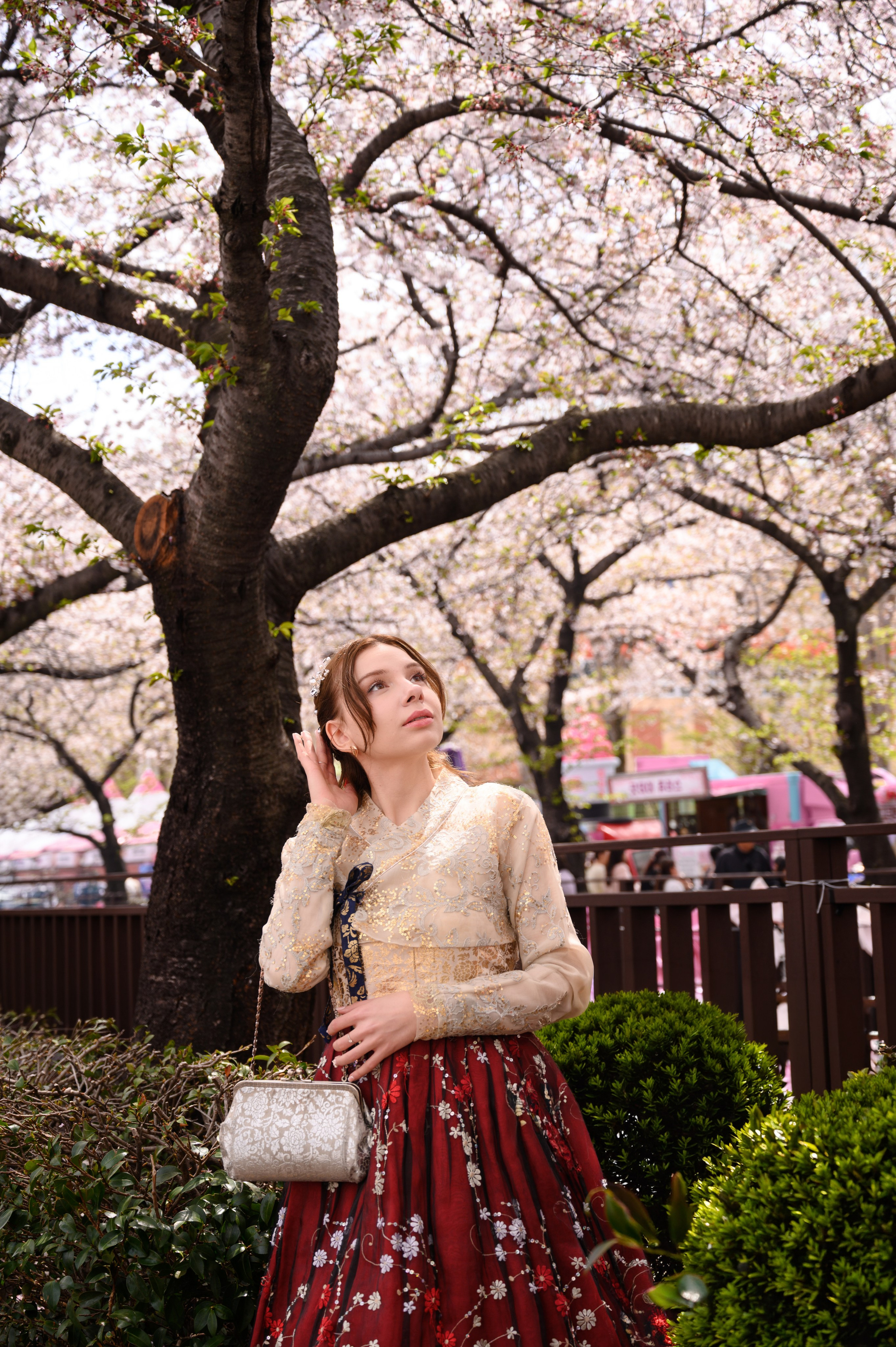 Woman in a burgundy hanbok under cherry blossoms by a traditional fence — hanbok photoshoot in Busan · 釜山韩服写真