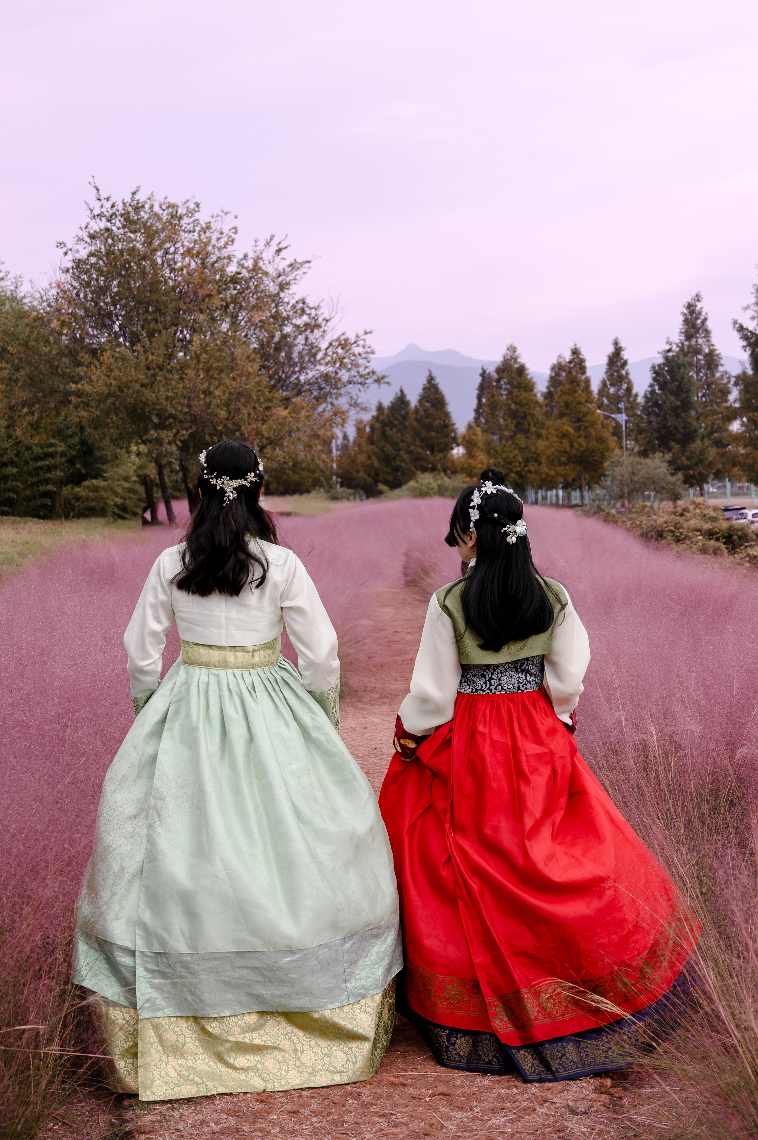 Two women in hanbok in a field of pink muhly grass at Daejeo Ecological Park, Busan · 釜山 韓服撮影