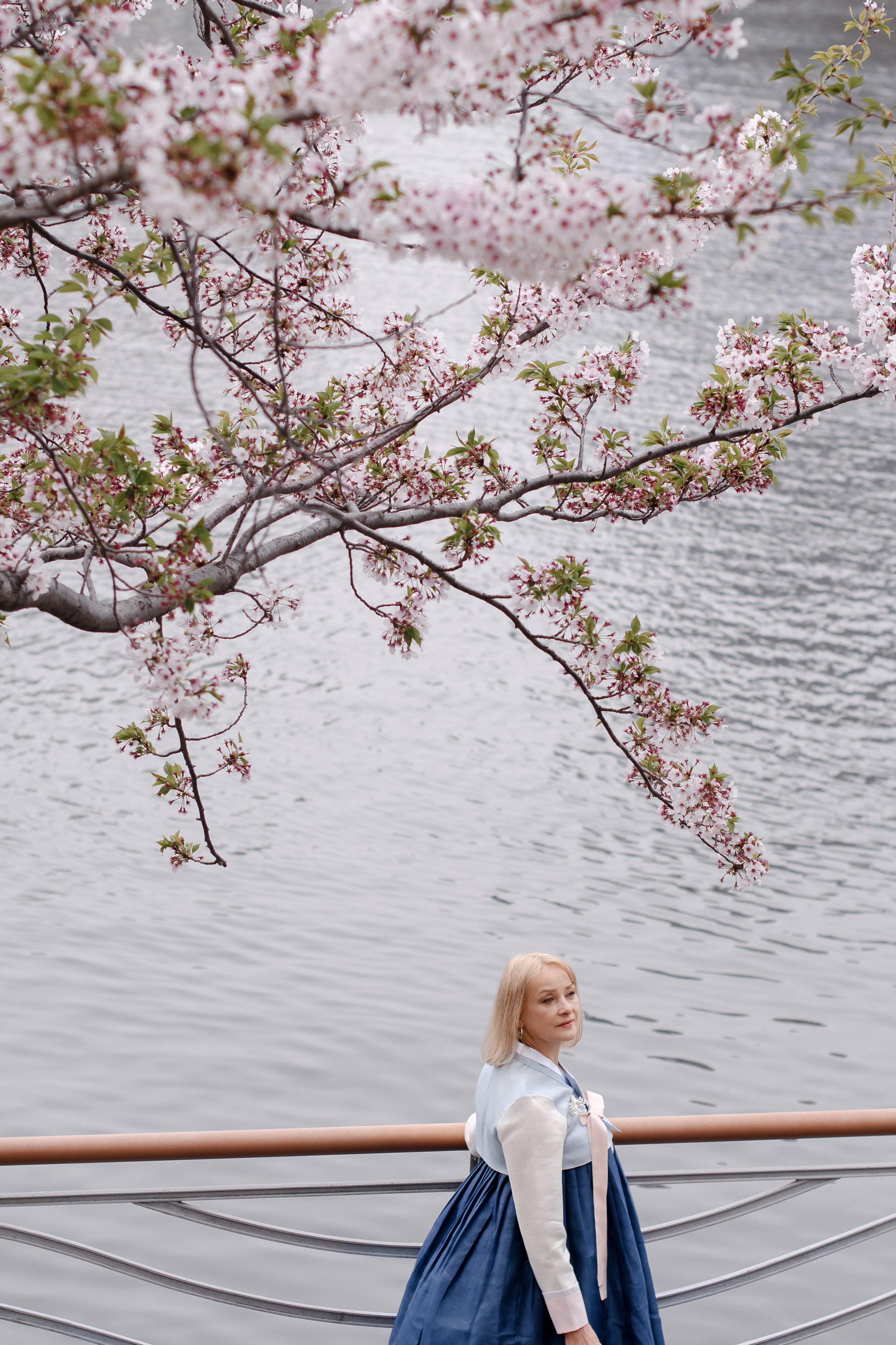 Woman in a navy hanbok by the water under cherry blossom branches — hanbok photoshoot in Busan · 釜山韩服写真