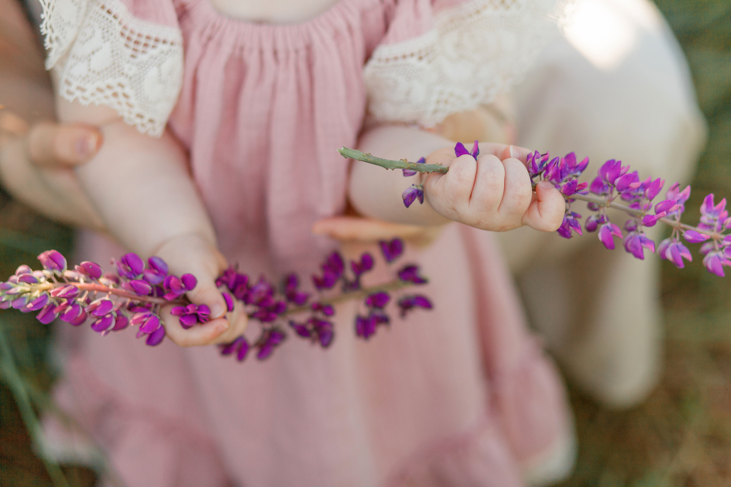 Семейная фотосессия в люпиновом поле в Новой Москве. Фотограф Александра Сыщенко